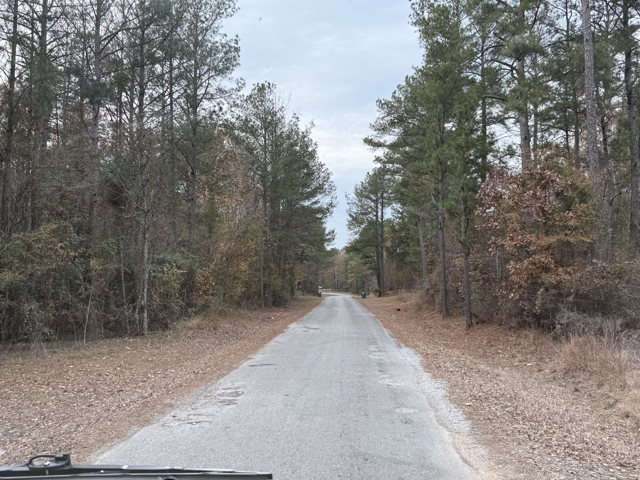 Narrow road to park