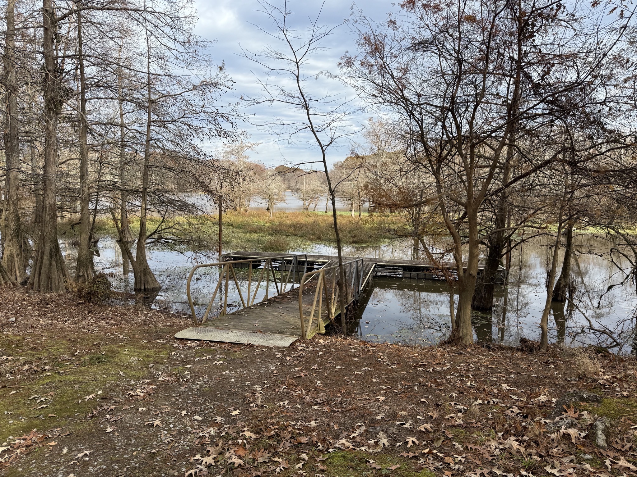 Floating dock