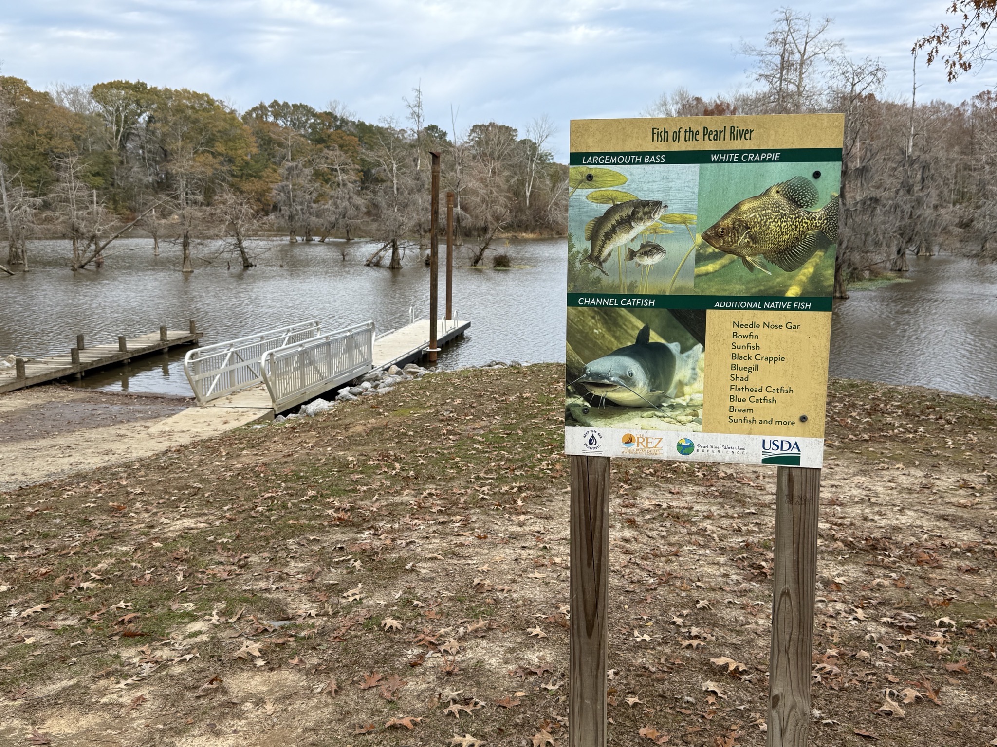 Fish of Pearl River