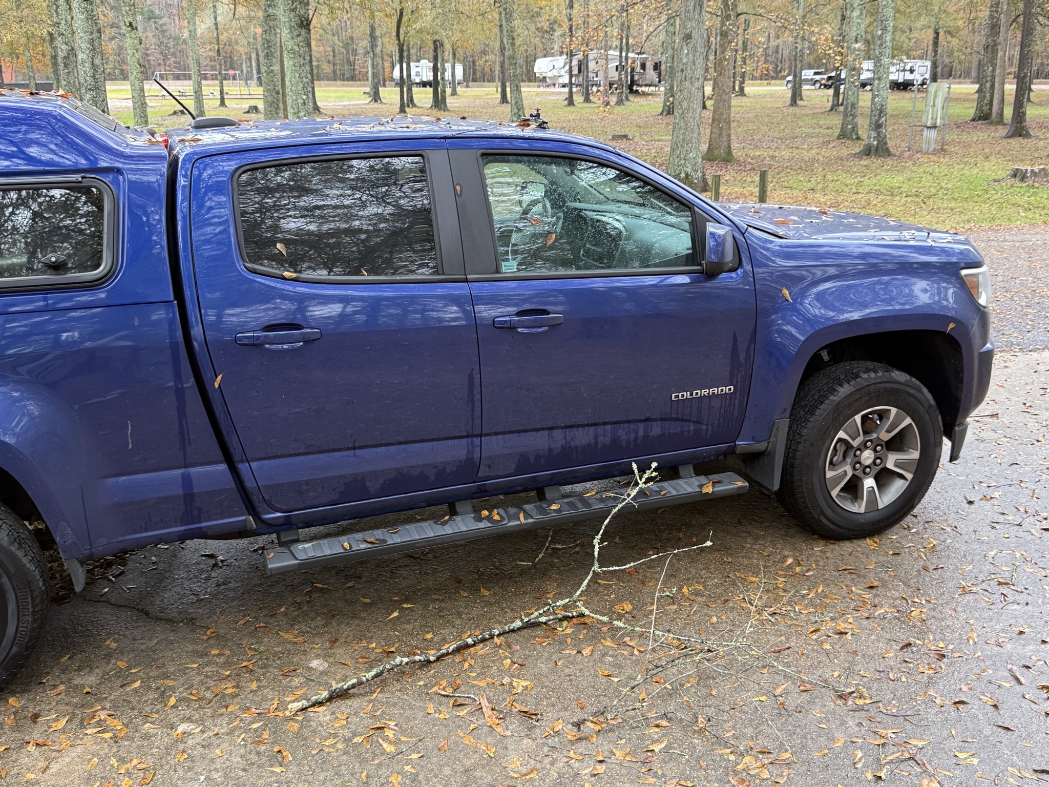 Branch by our truck