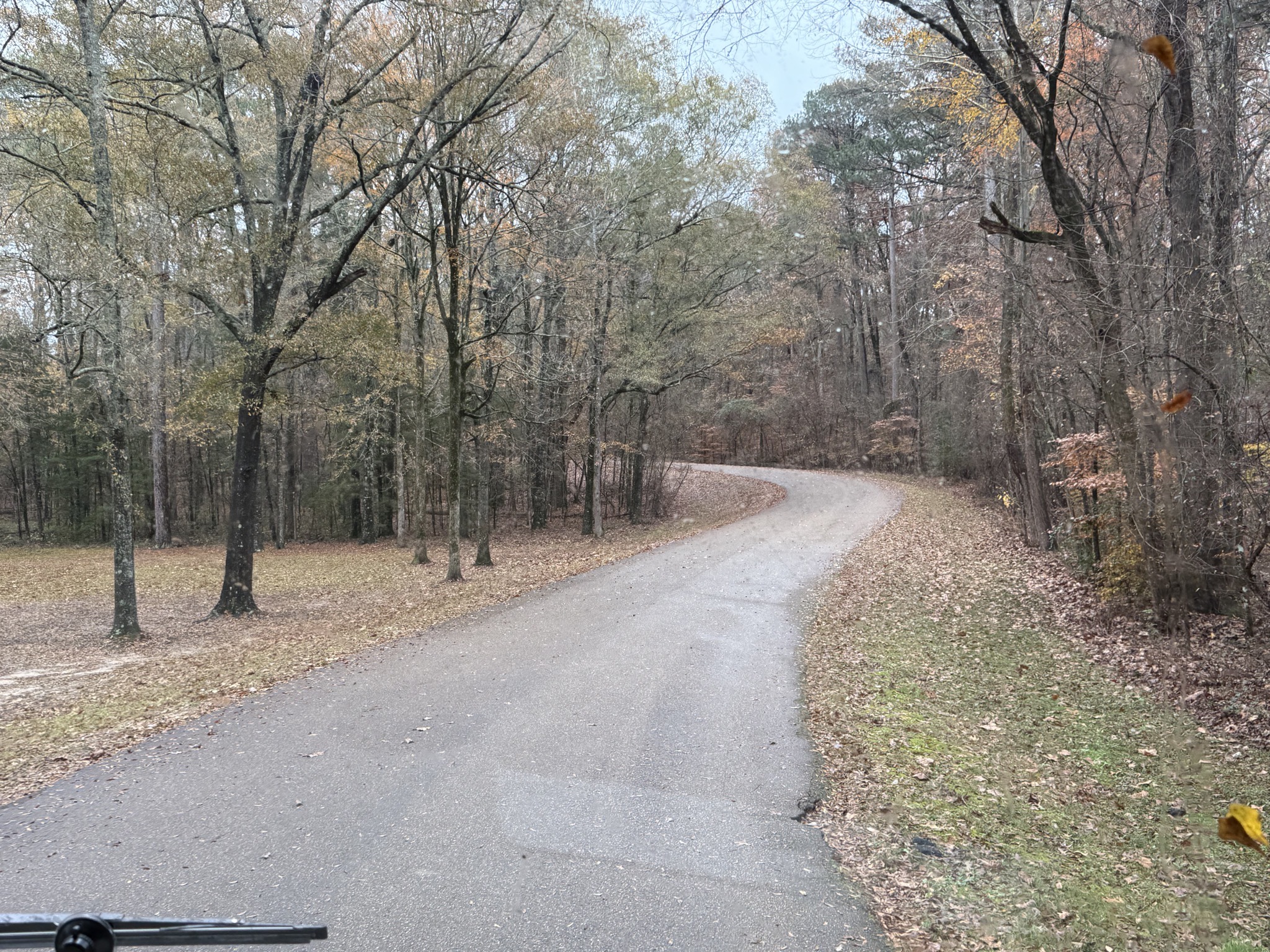Narrow road from campground