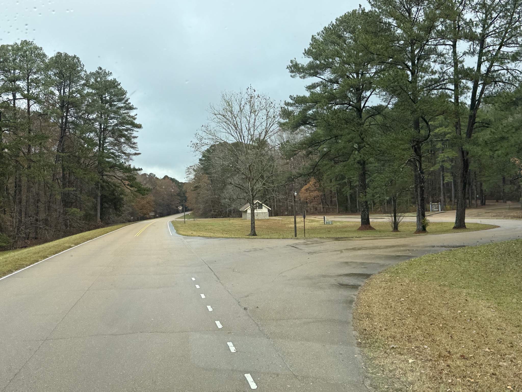Lunch stop at Jeff Busby area