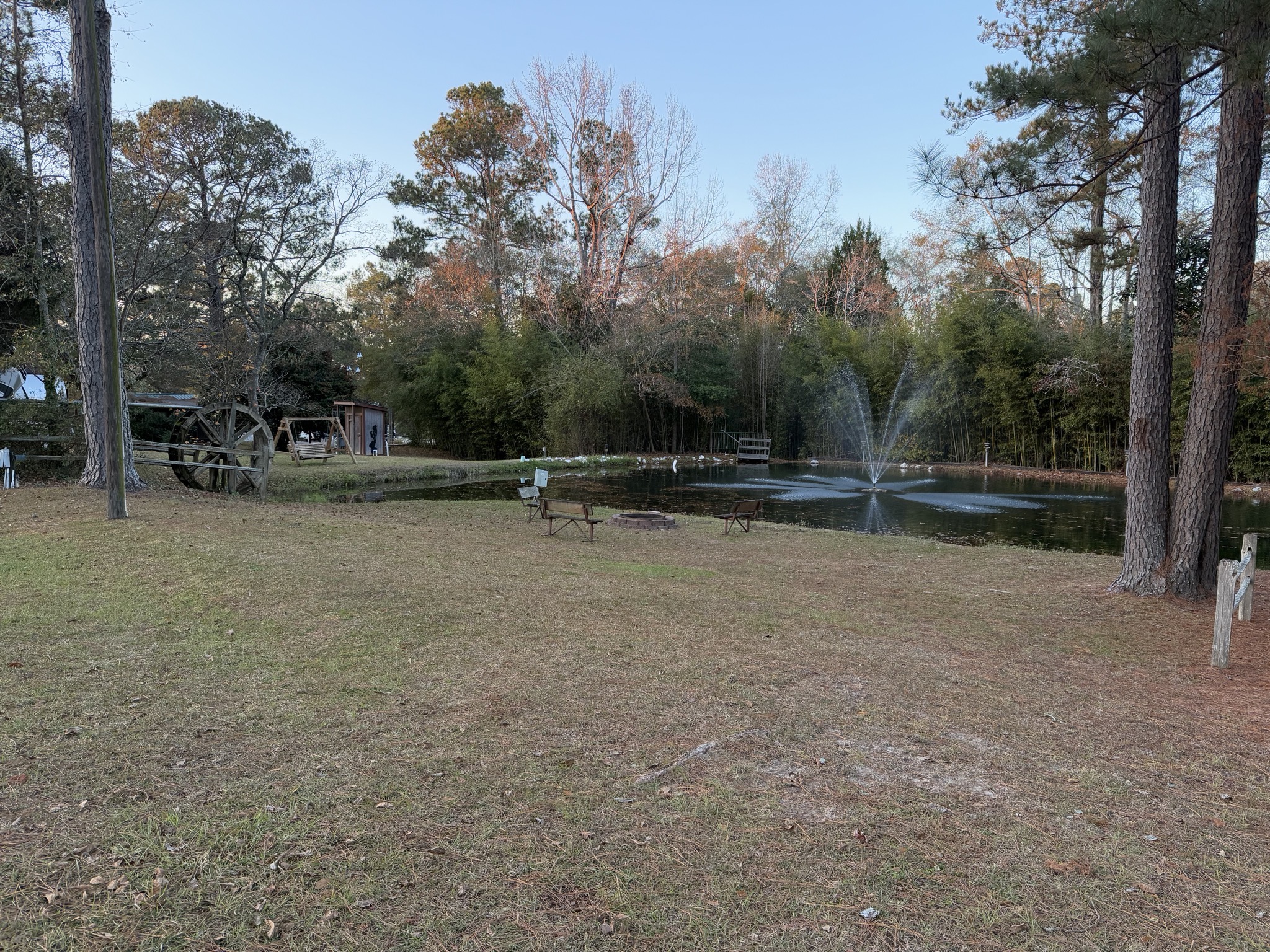 Pond