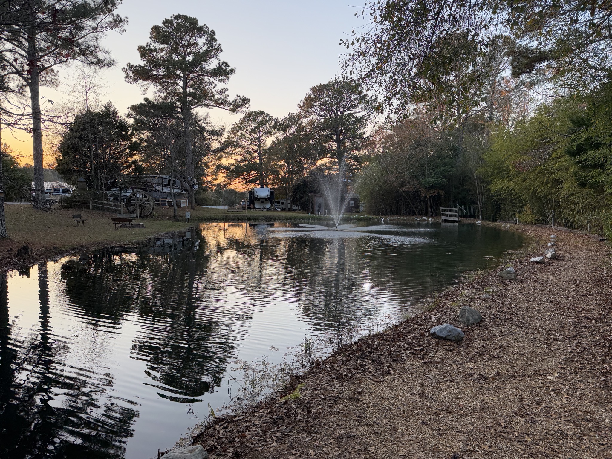 Pond