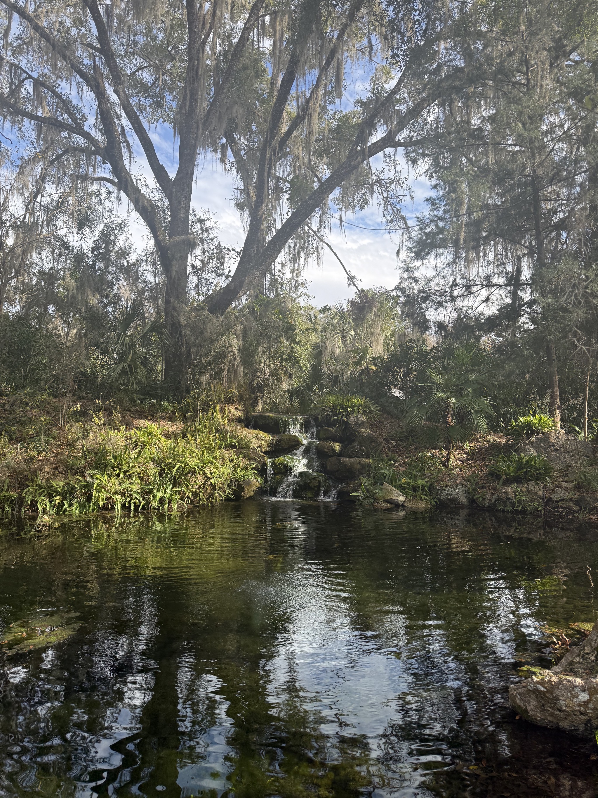 Pond and waterfall