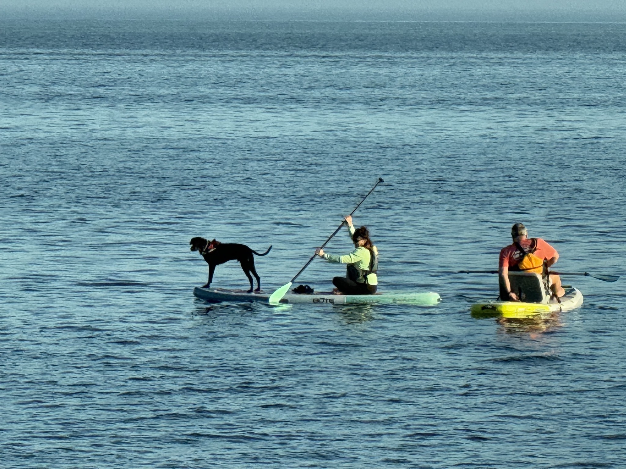Paddling