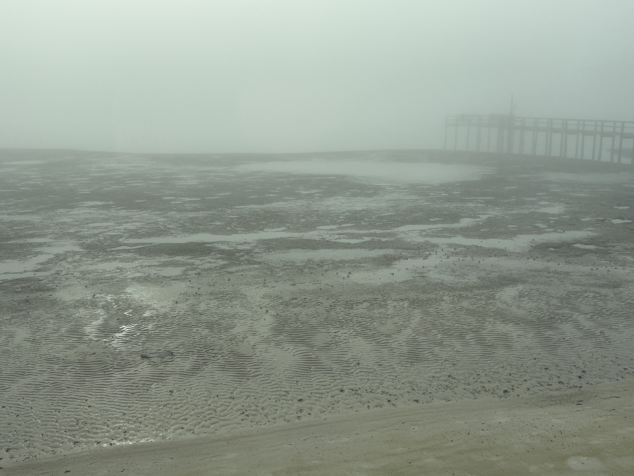 Foggy
