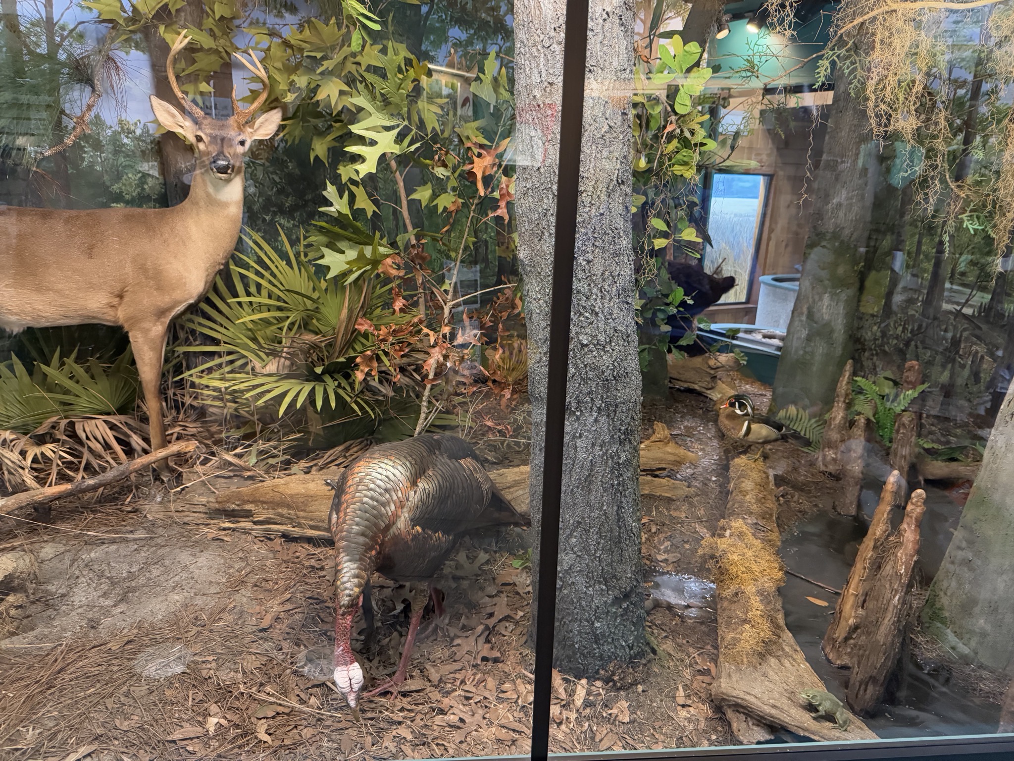 St Marks National Wildlife Refuge visitor center
