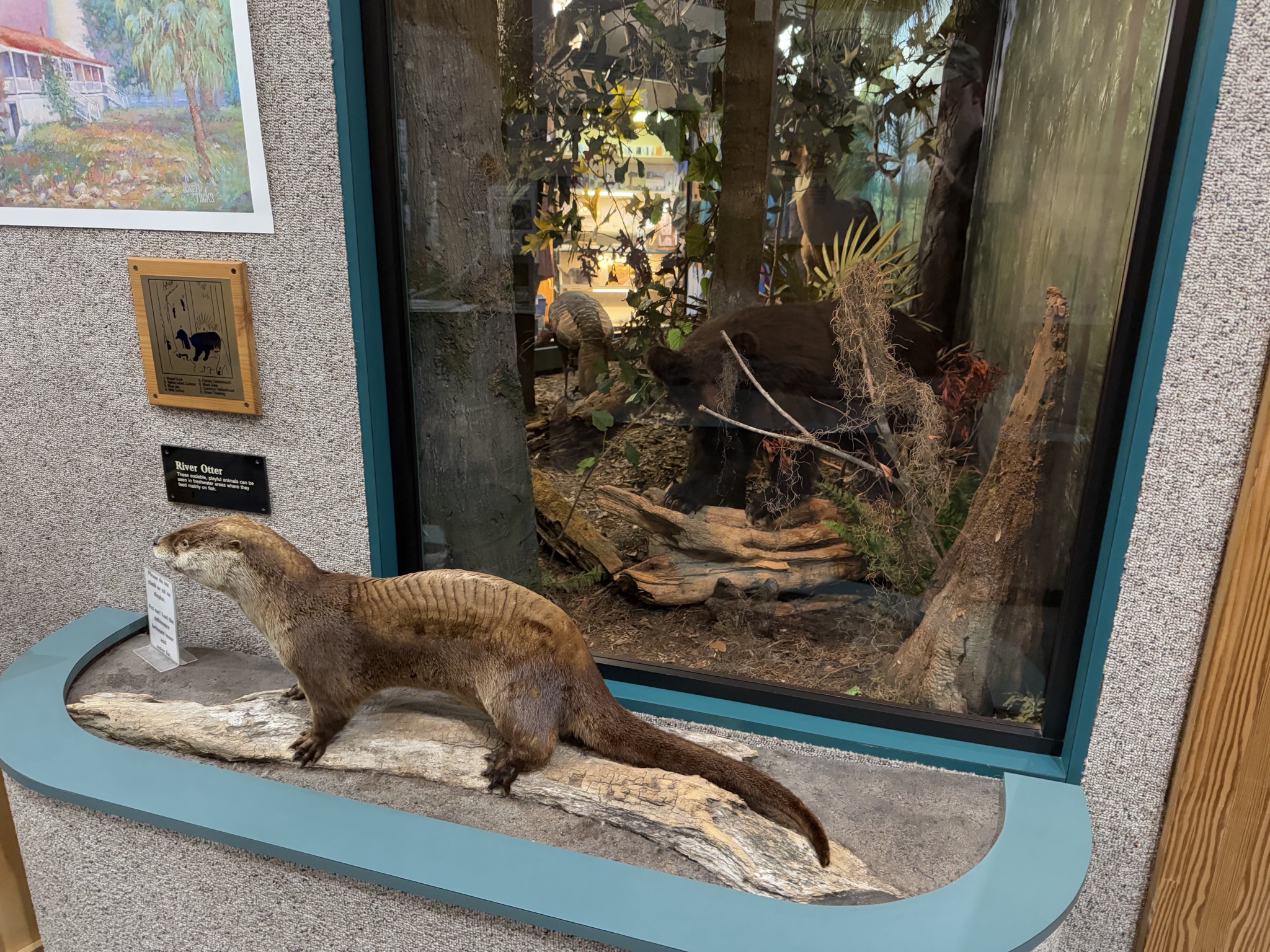 St Marks National Wildlife Refuge visitor center