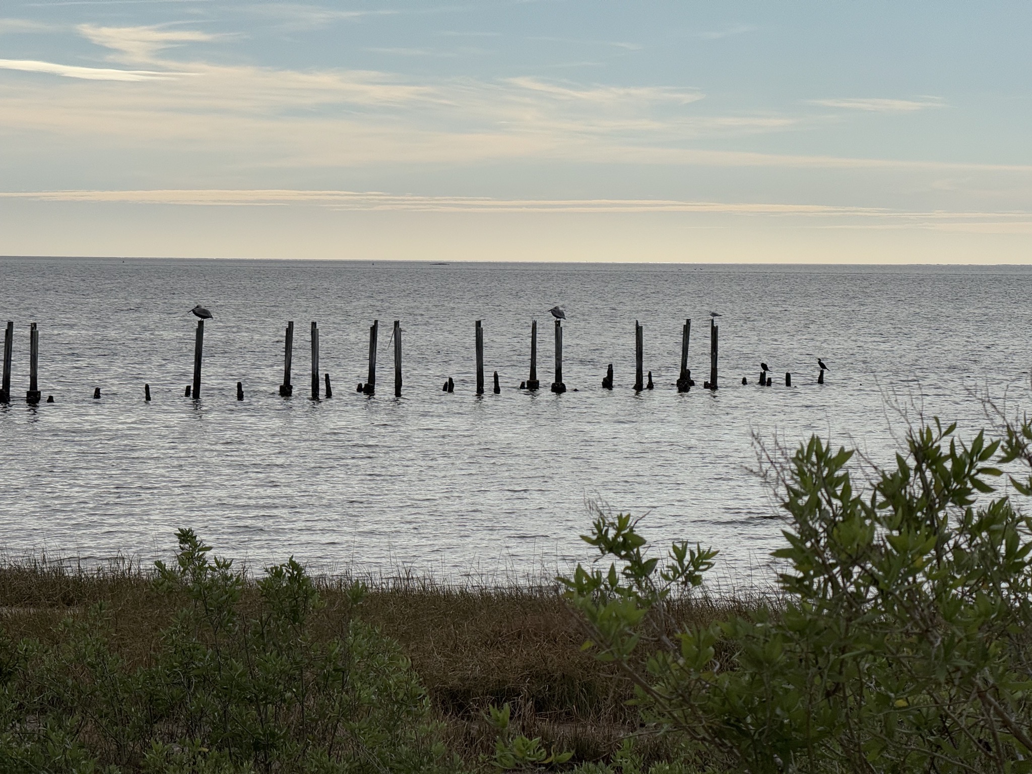 St Marks National Wildlife Refuge