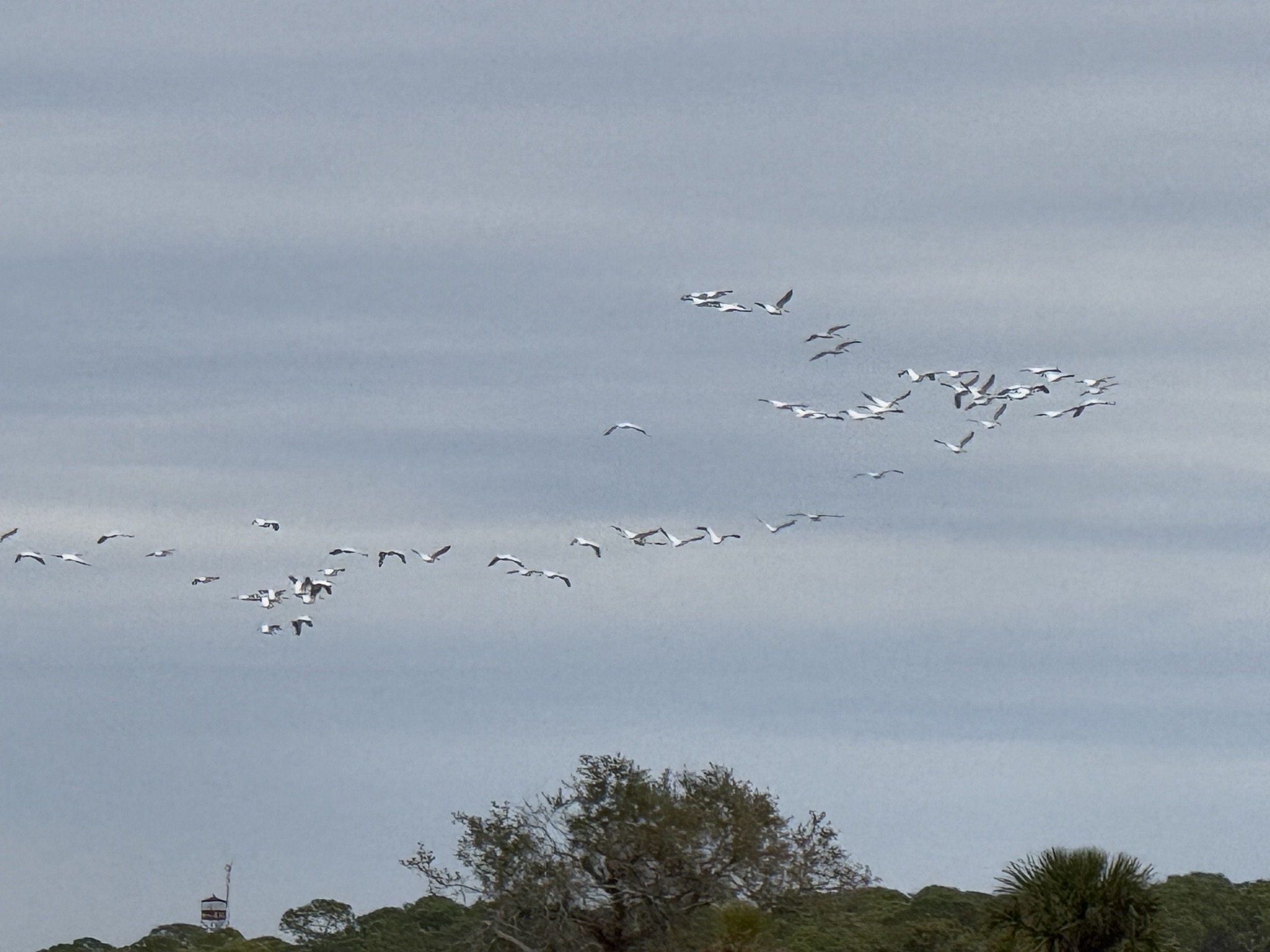 St Marks National Wildlife Refuge