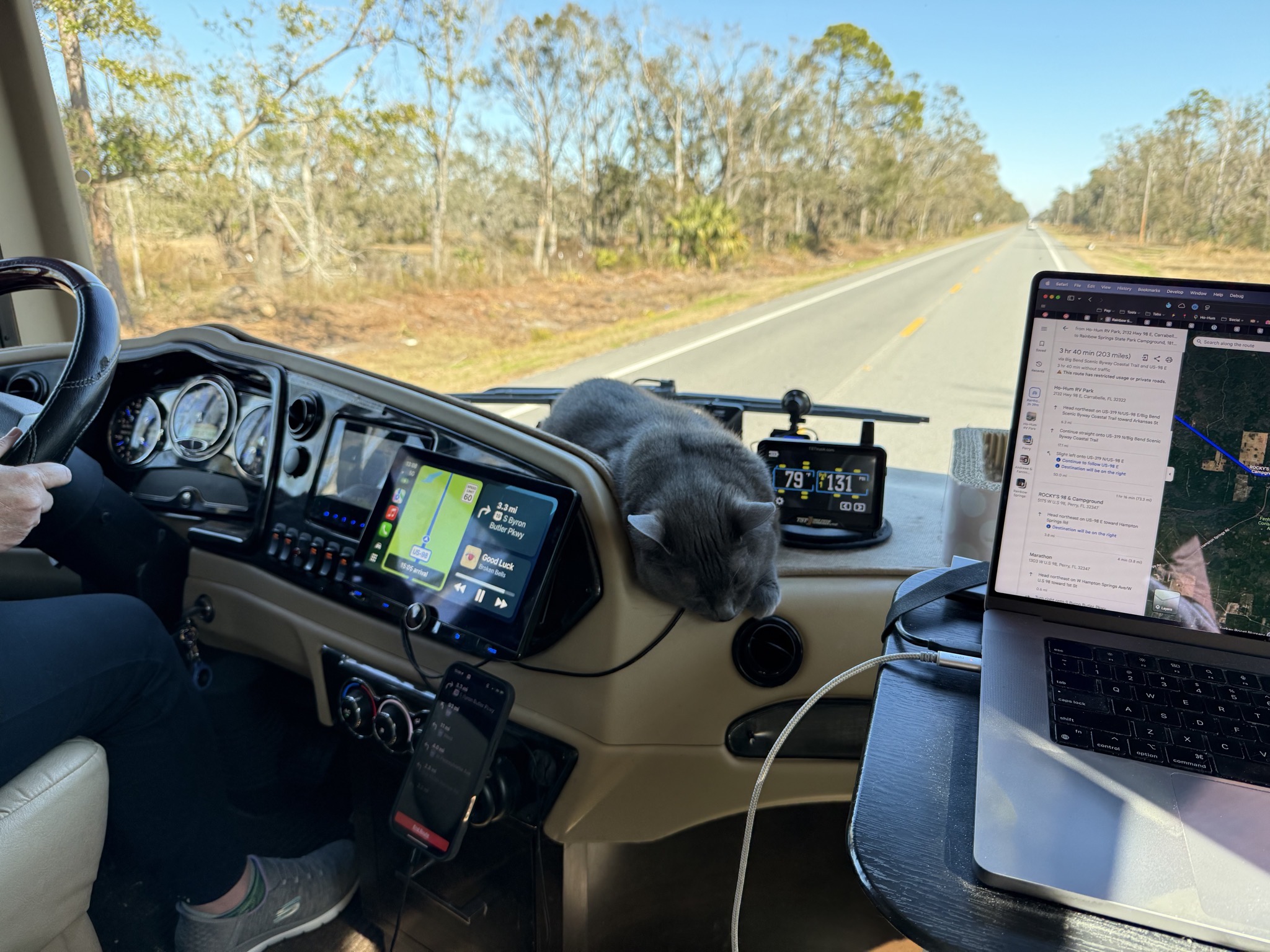 Paladin on the dash