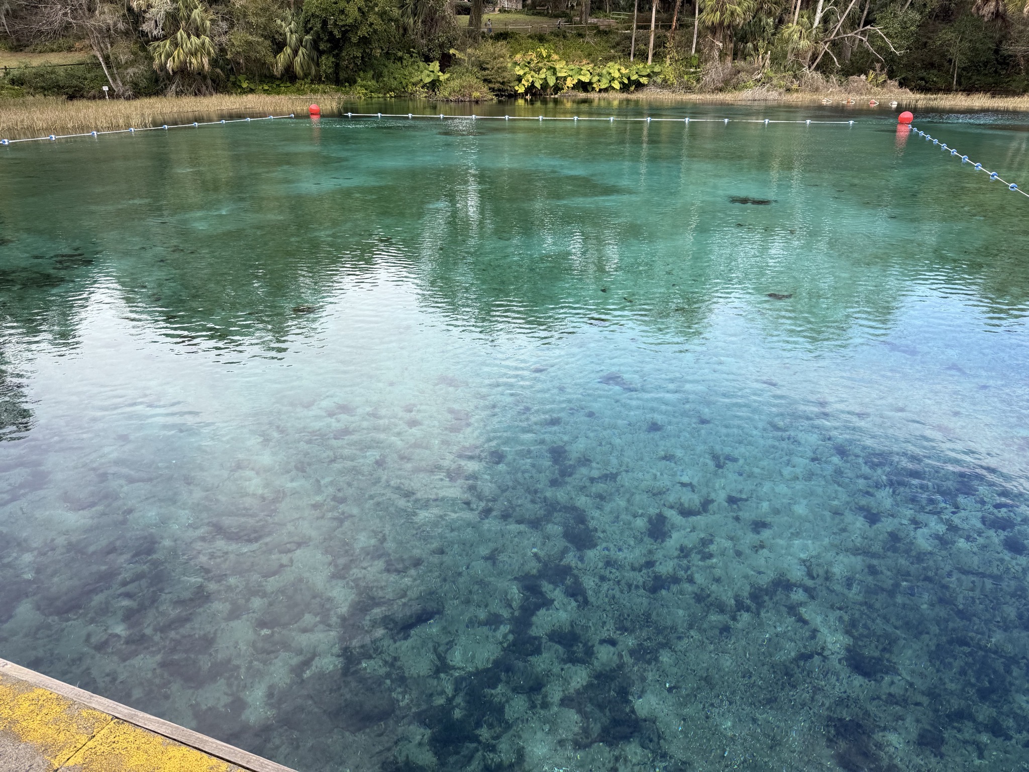 Swimming area