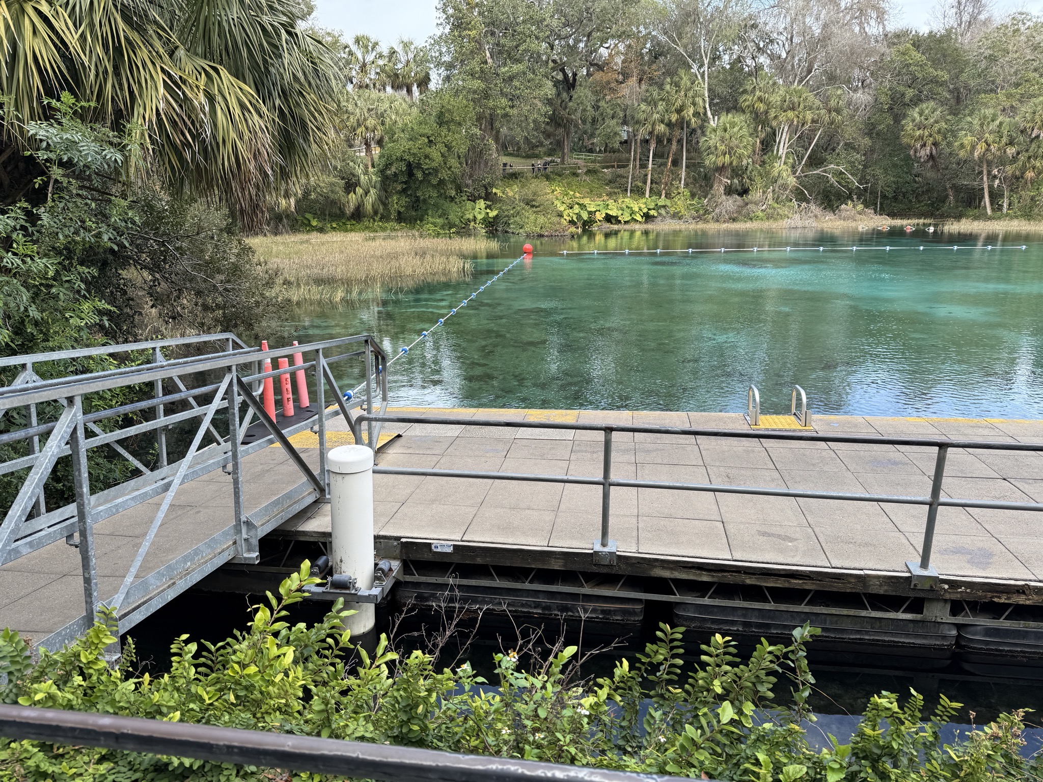 Swimming area