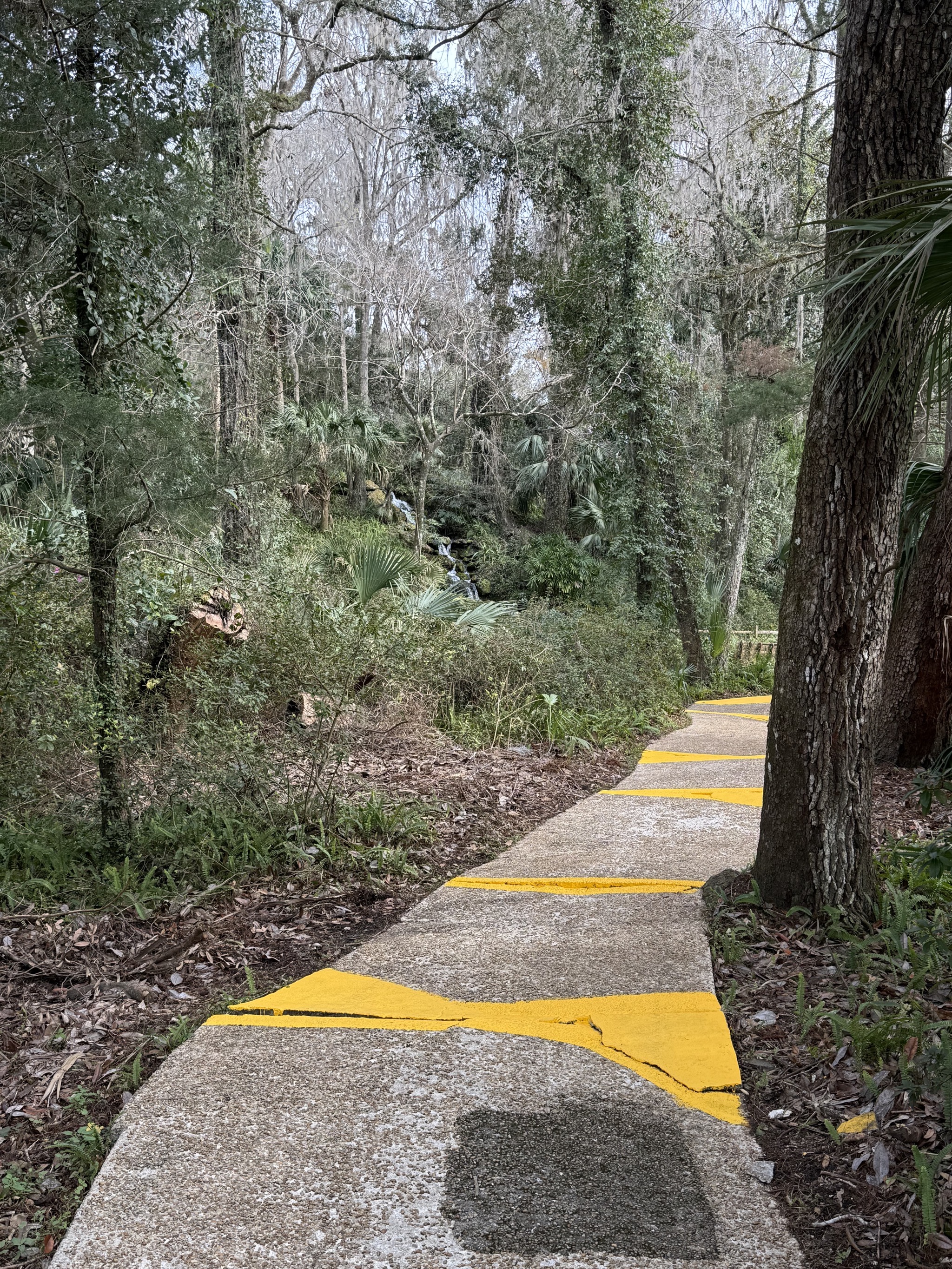 Bumpy path