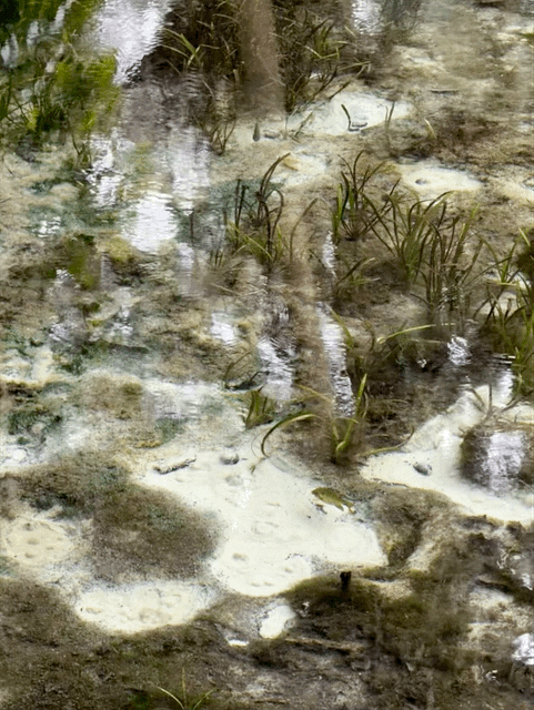 Bubbling sand