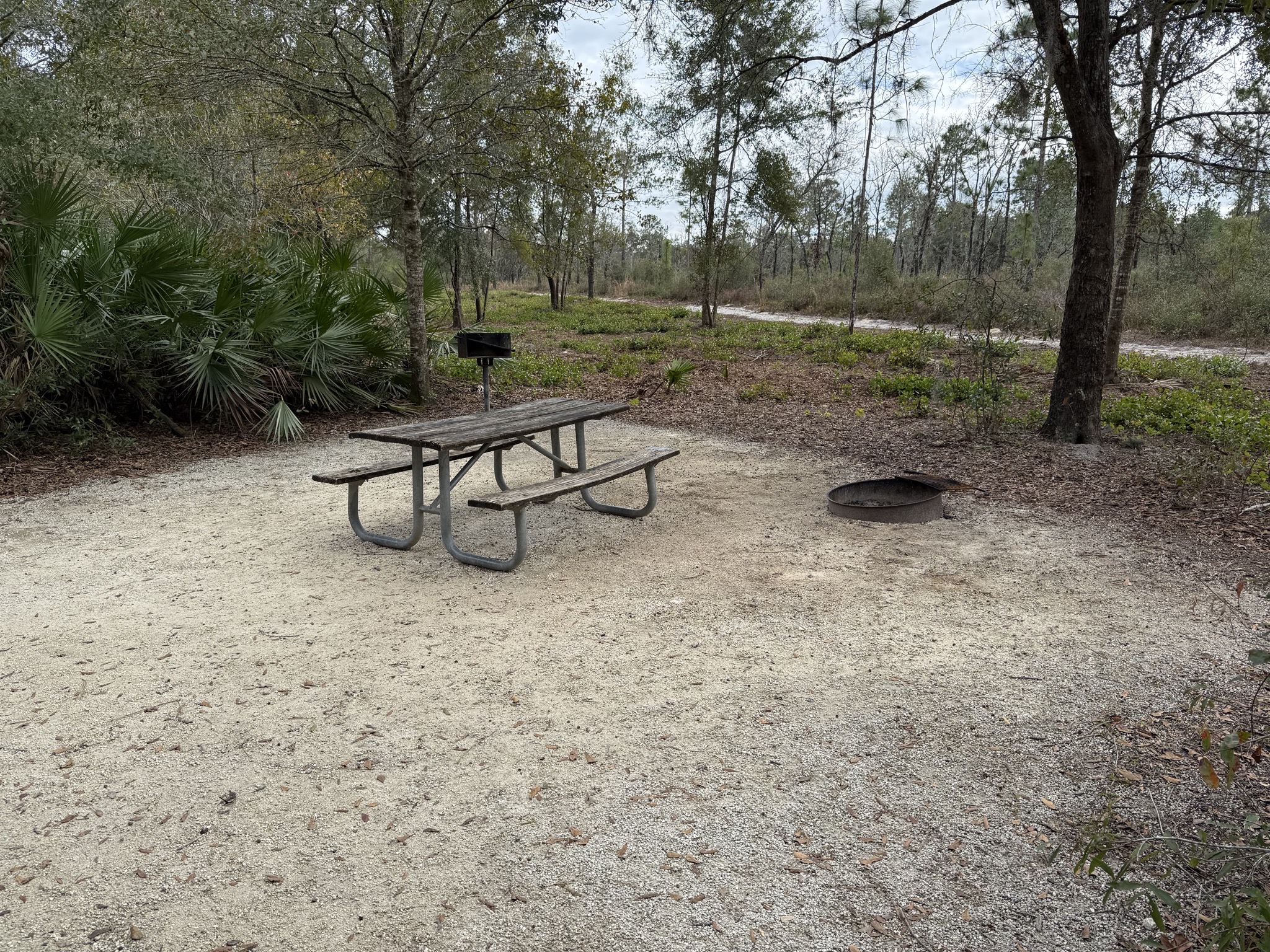 Our site