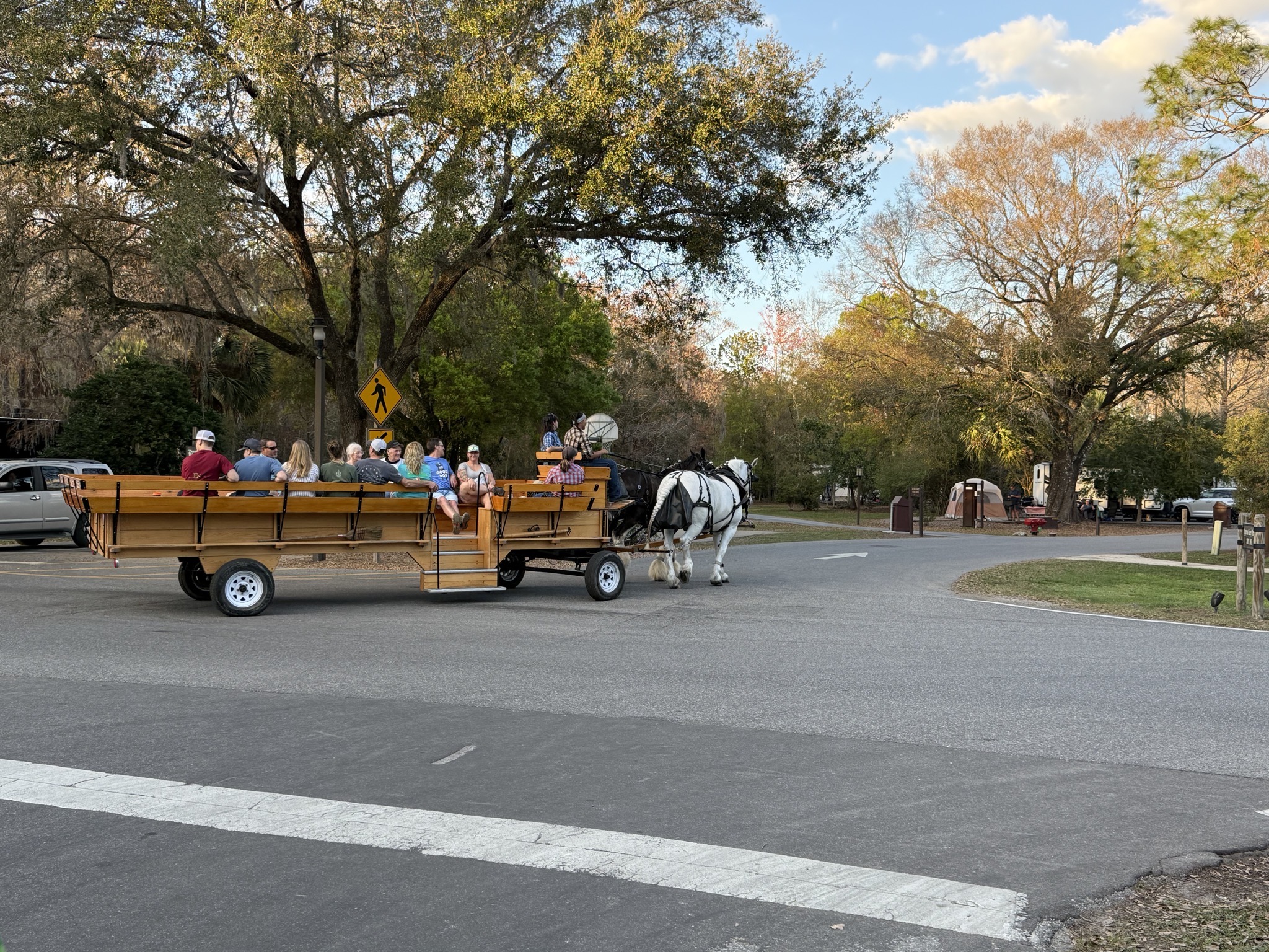 Horse-drawn carriage
