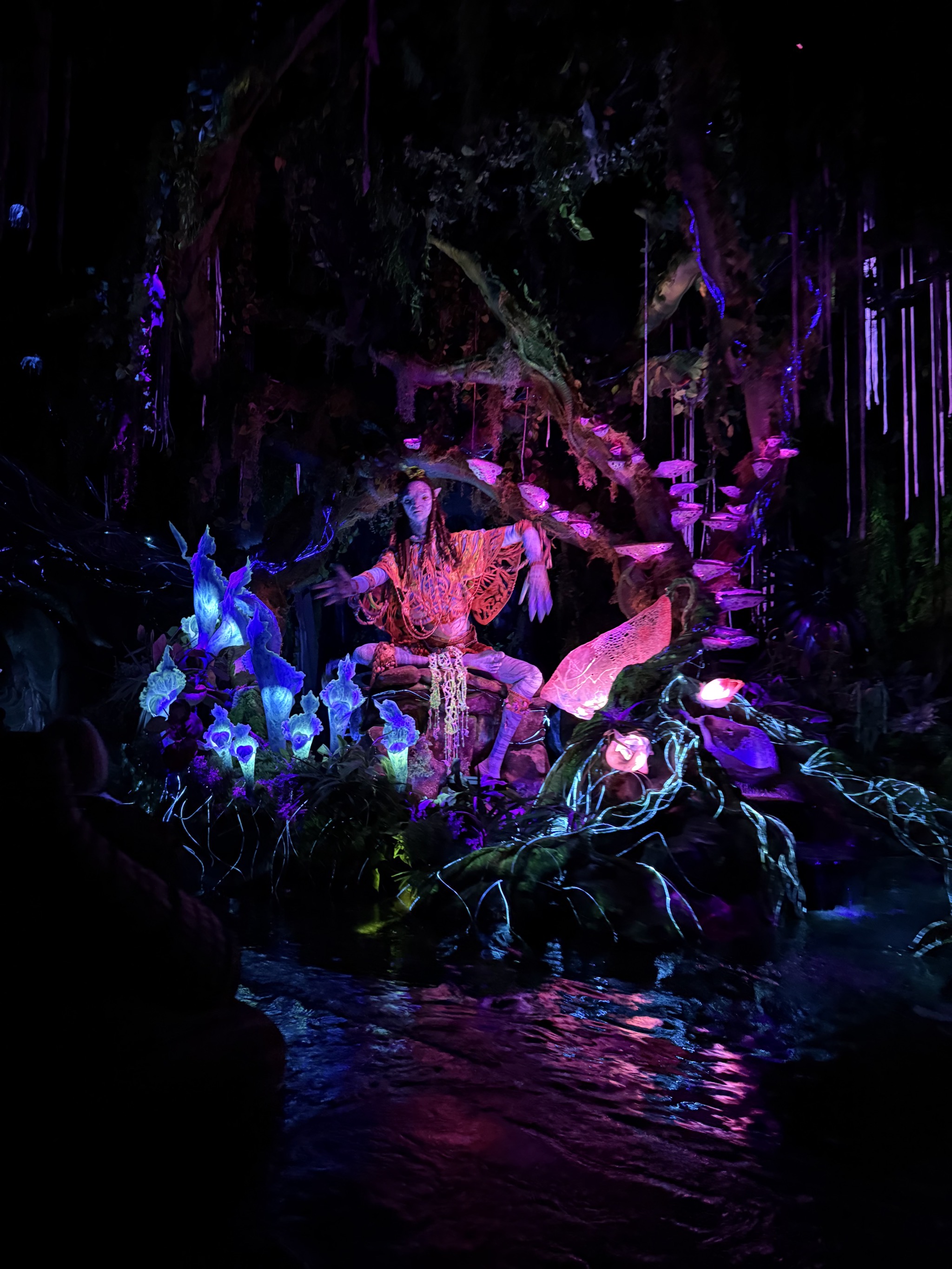 Avatar ride
