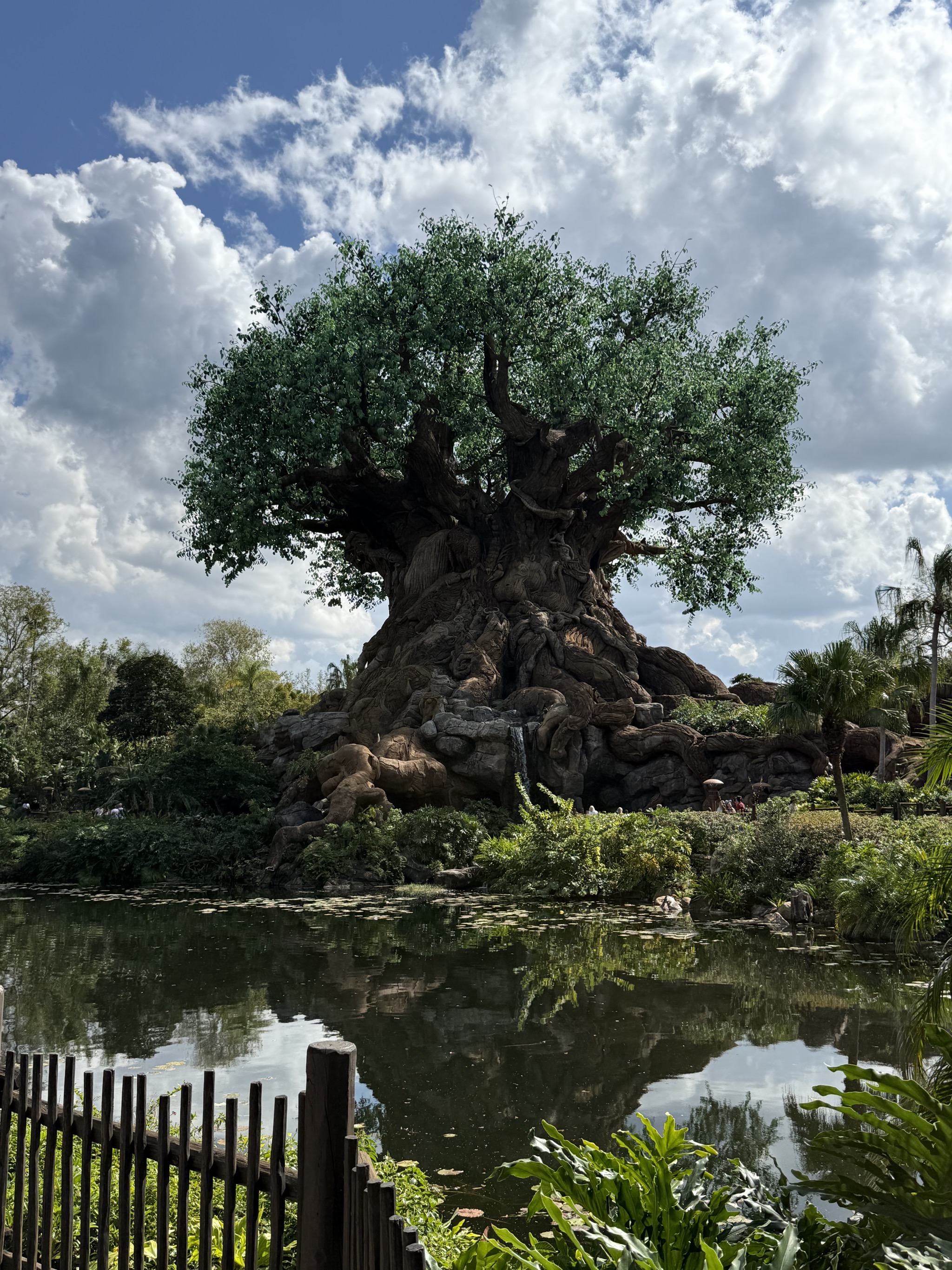Tree of Life