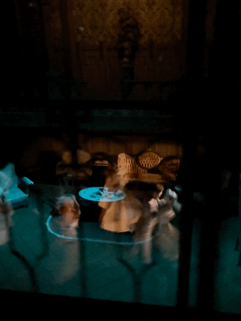 Haunted Mansion ride