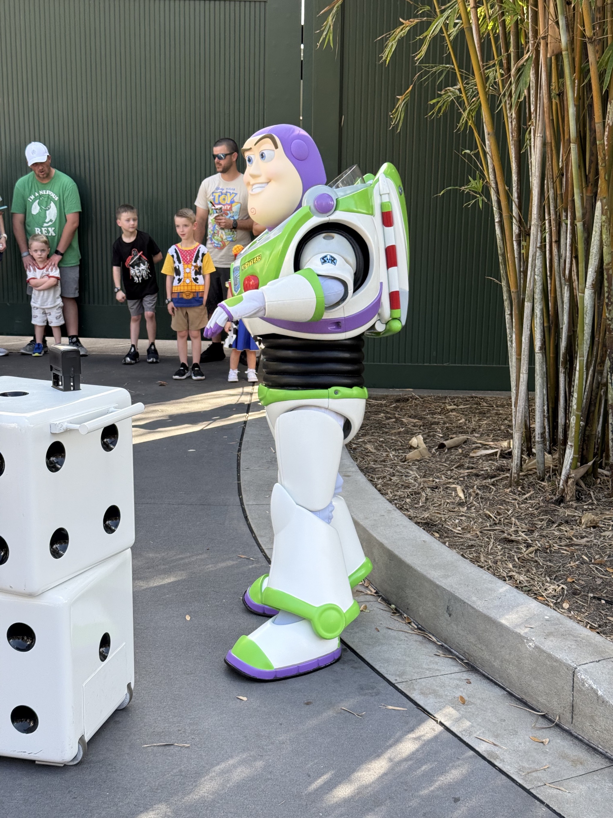 Toy Story Land