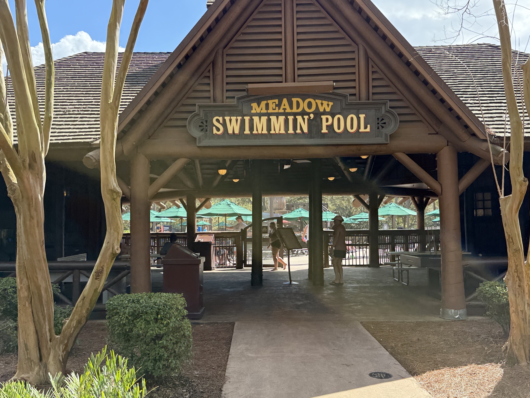 Meadow Swimmin' Pool