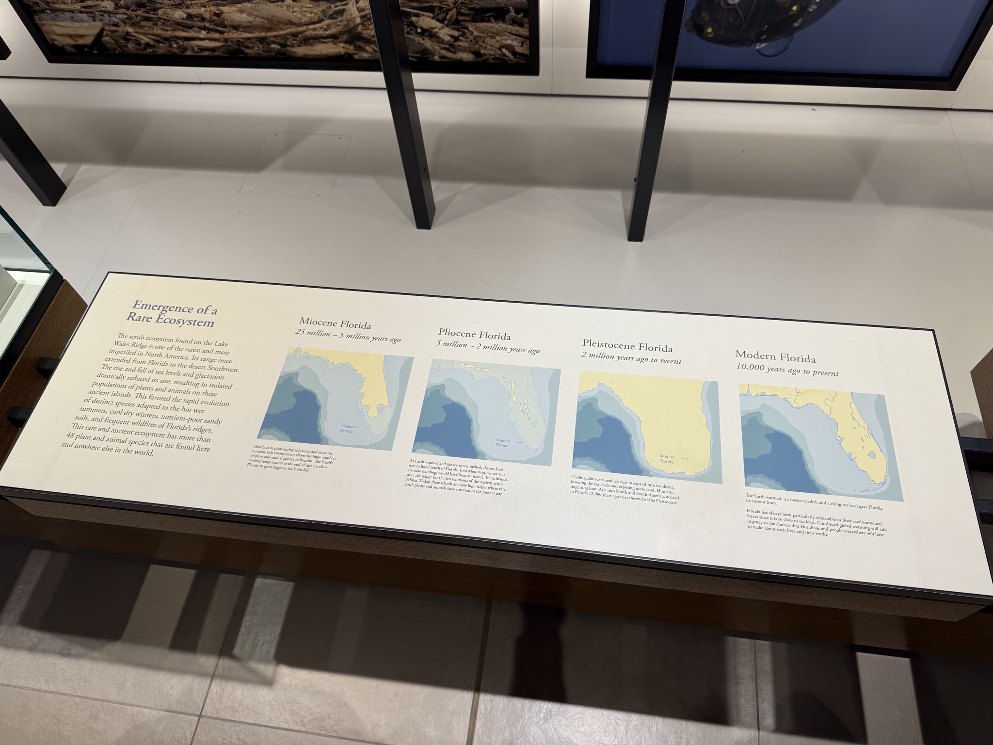 Exhibits