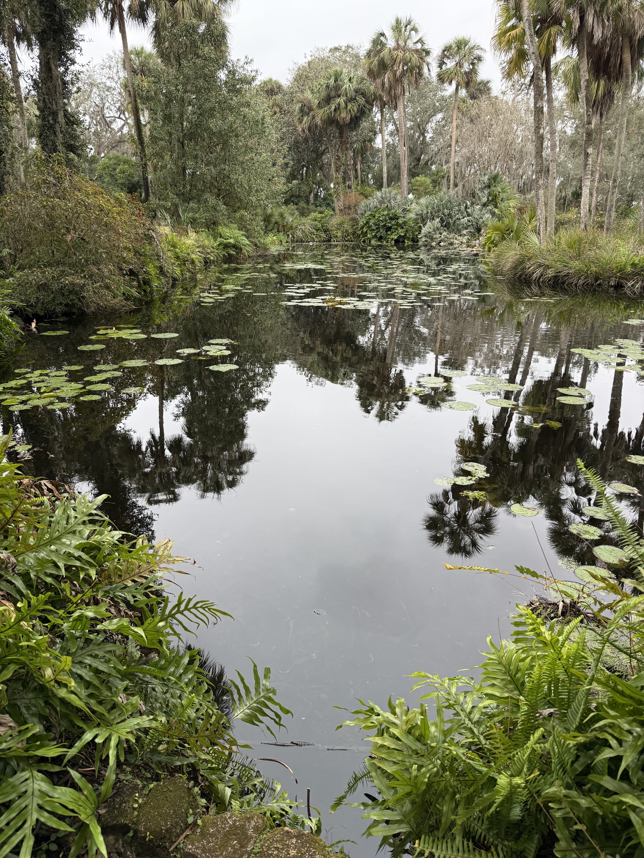 Pond