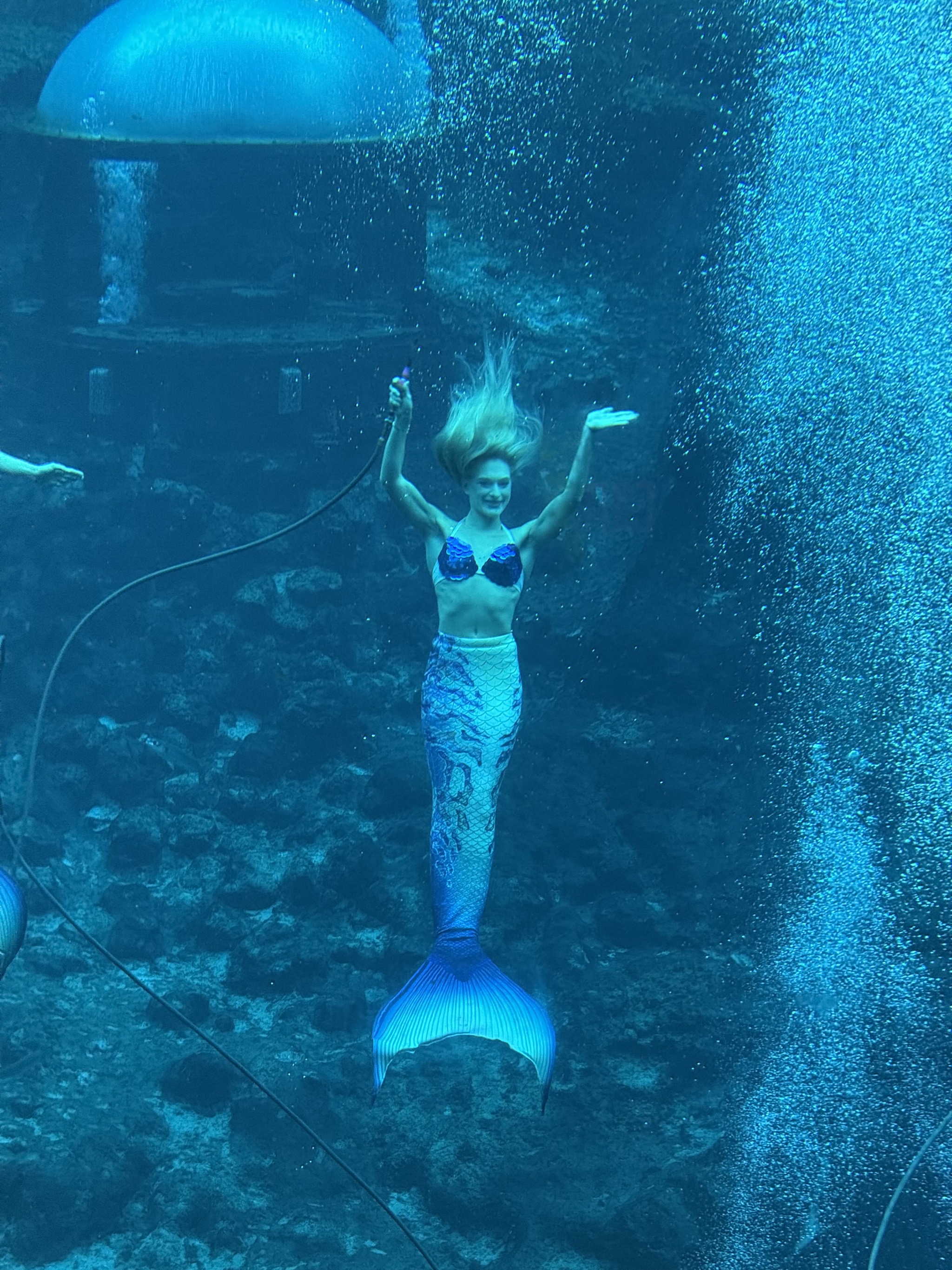 Mermaid show