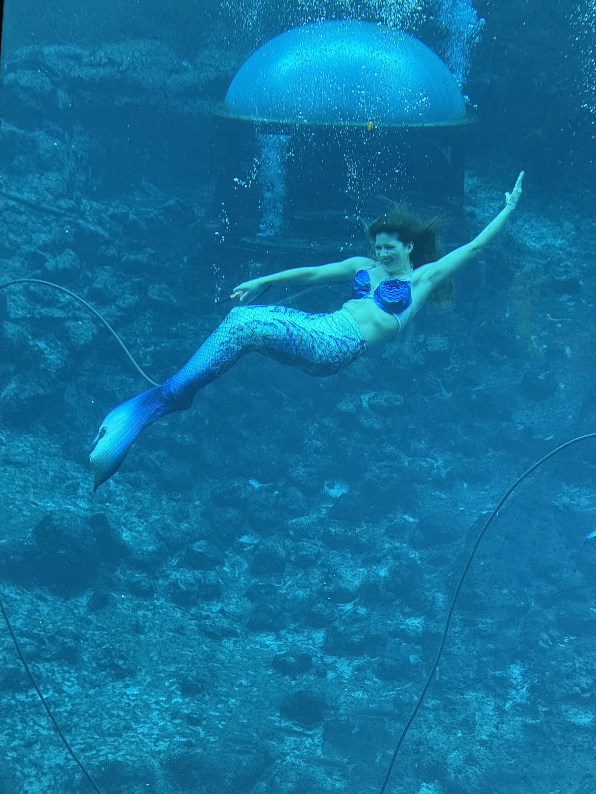 Mermaid show