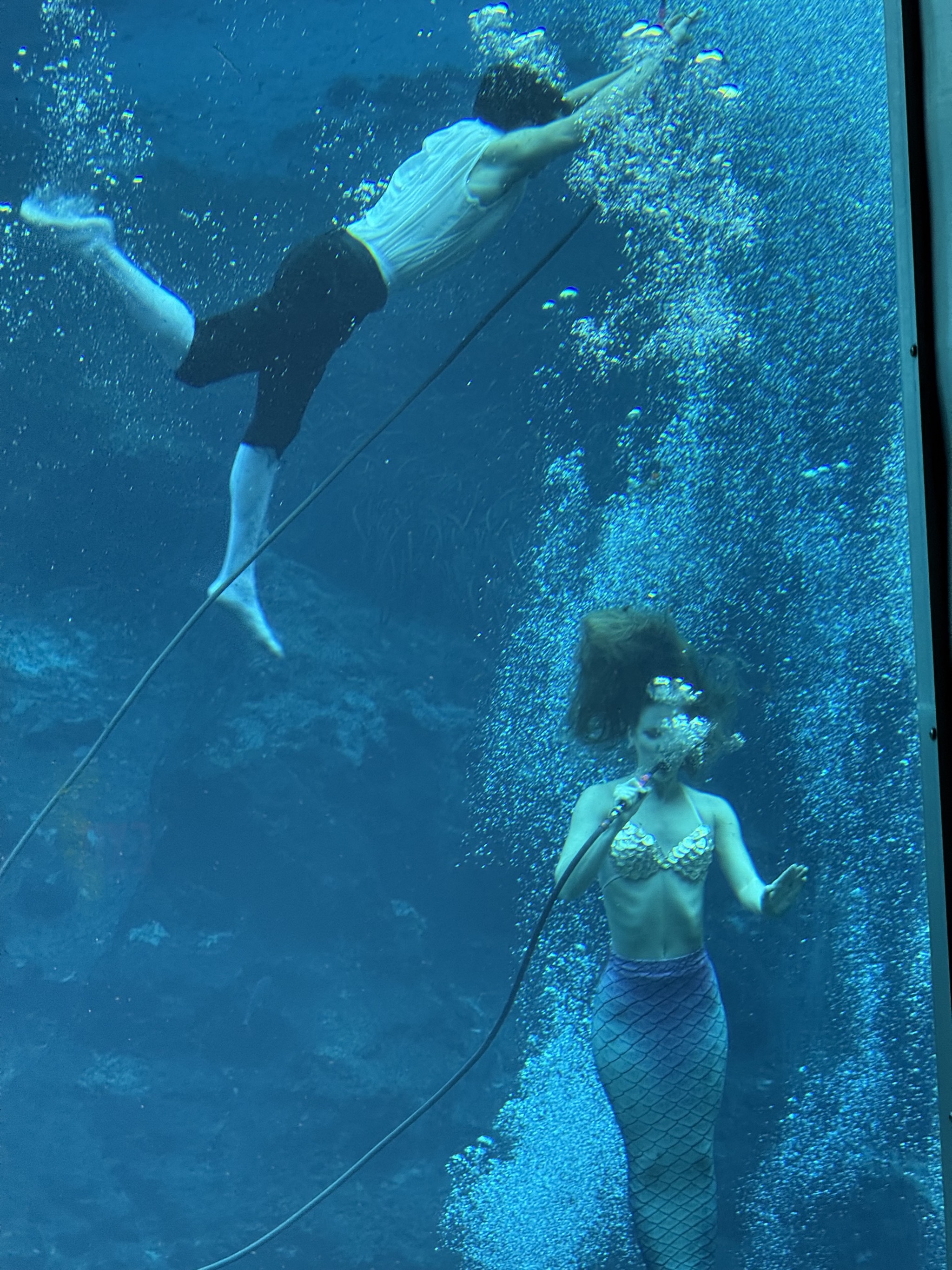 Mermaid show