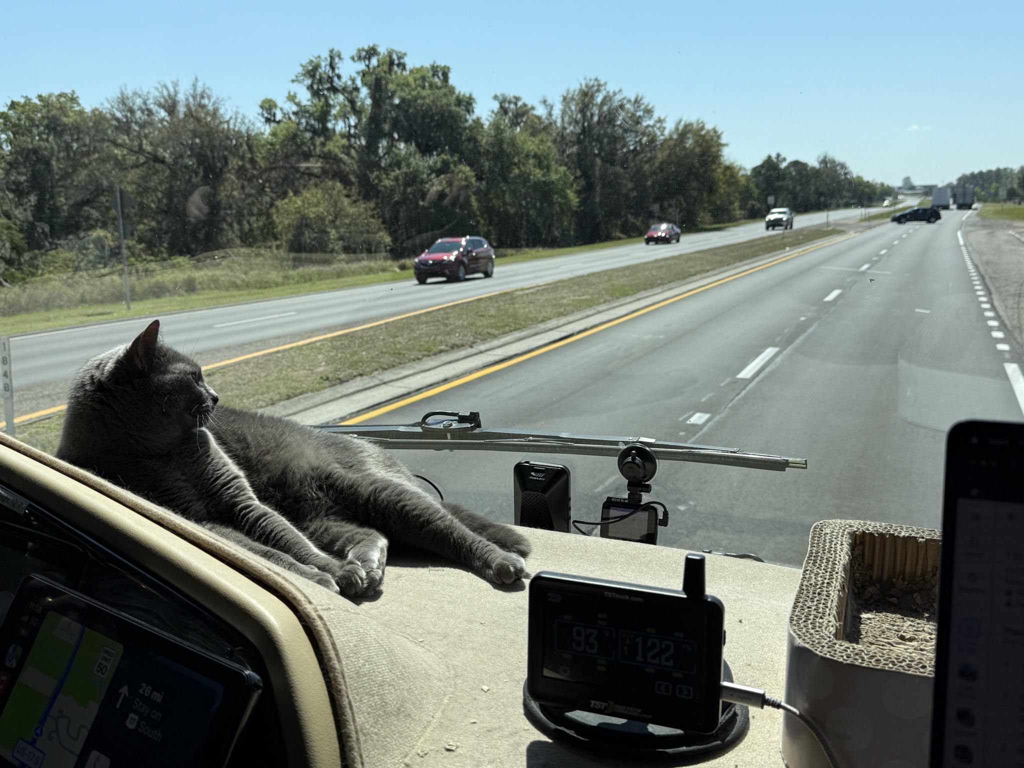 Paladin on the dash
