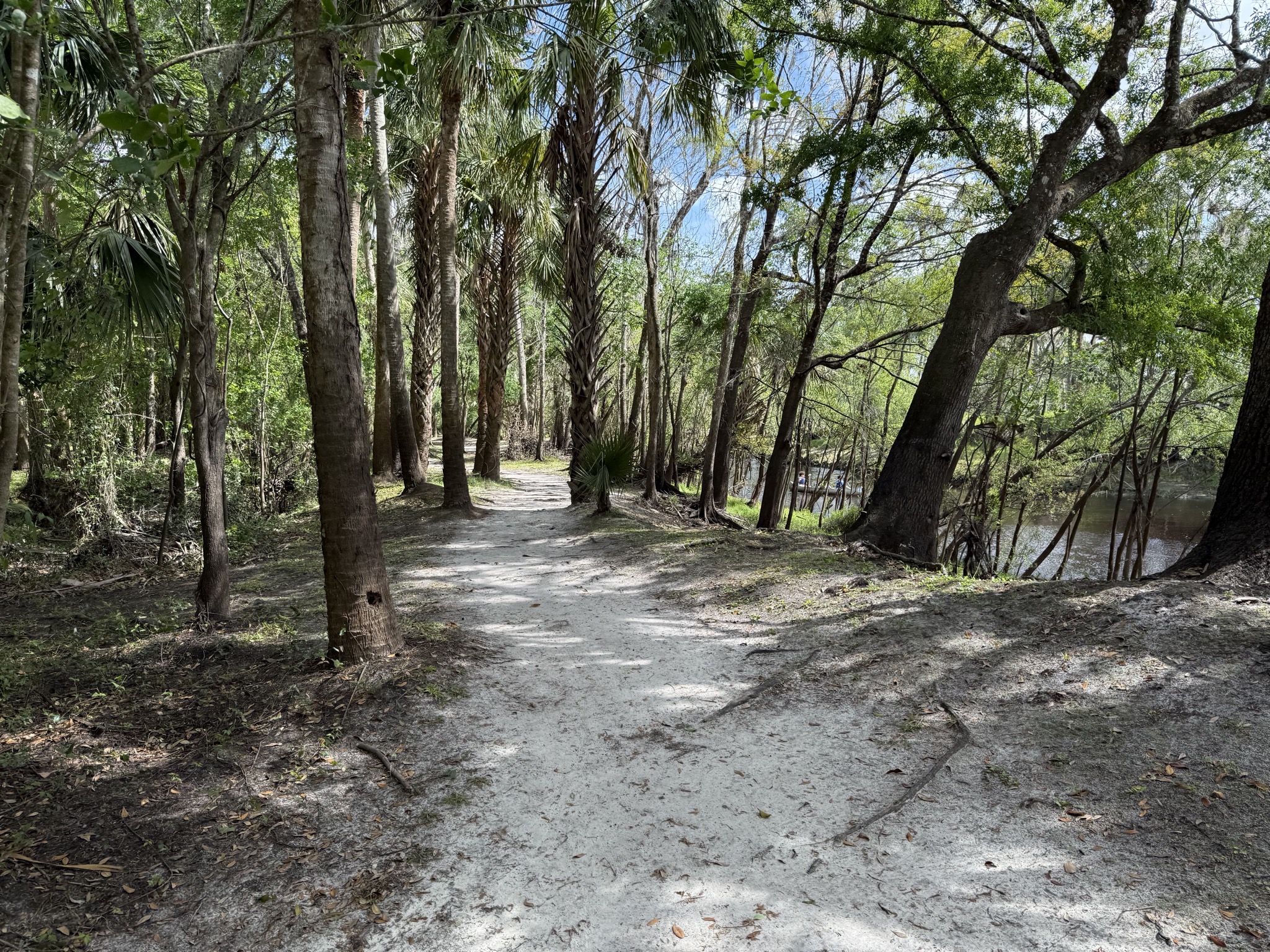 Walking path by river