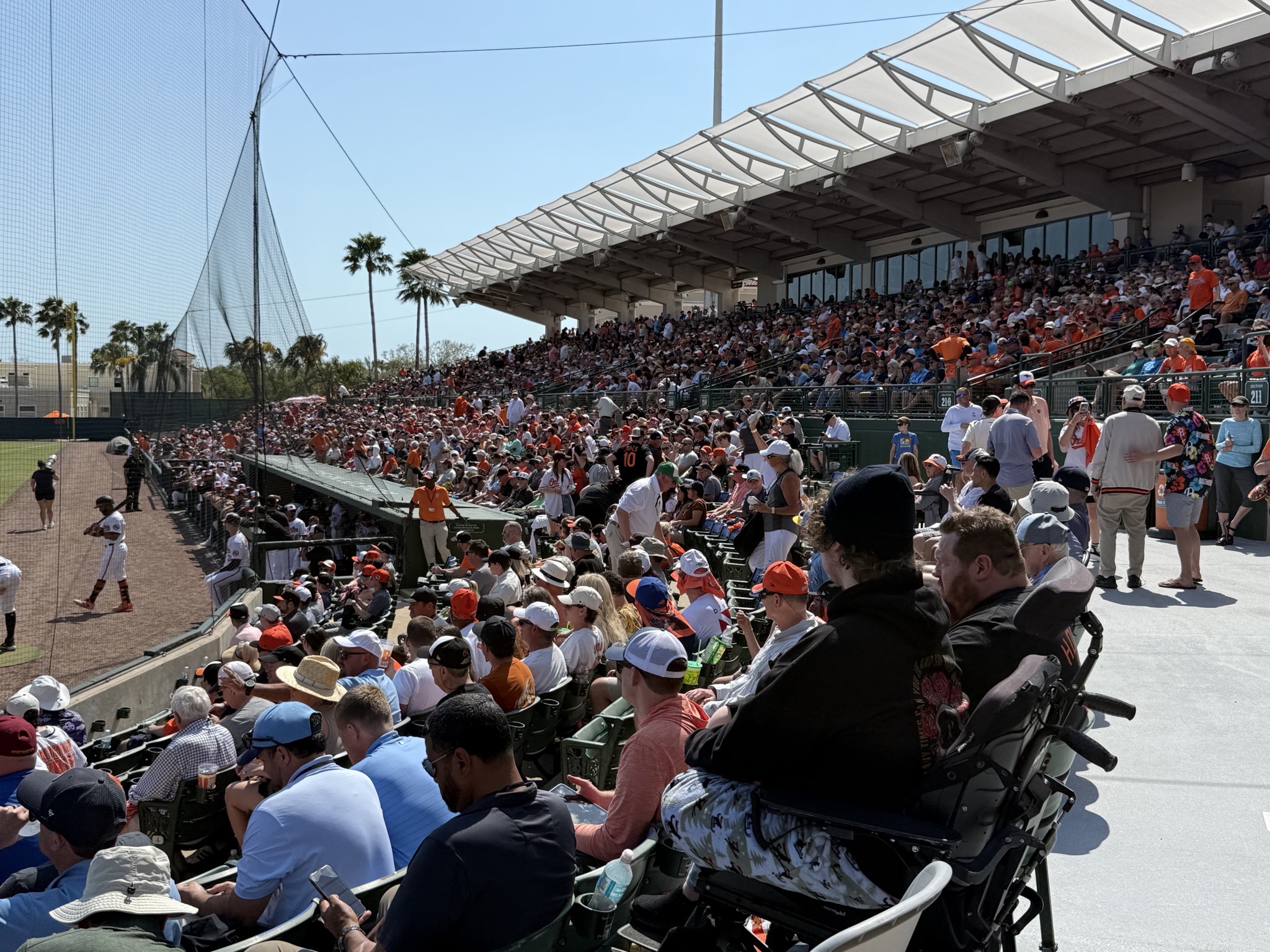 Ballpark