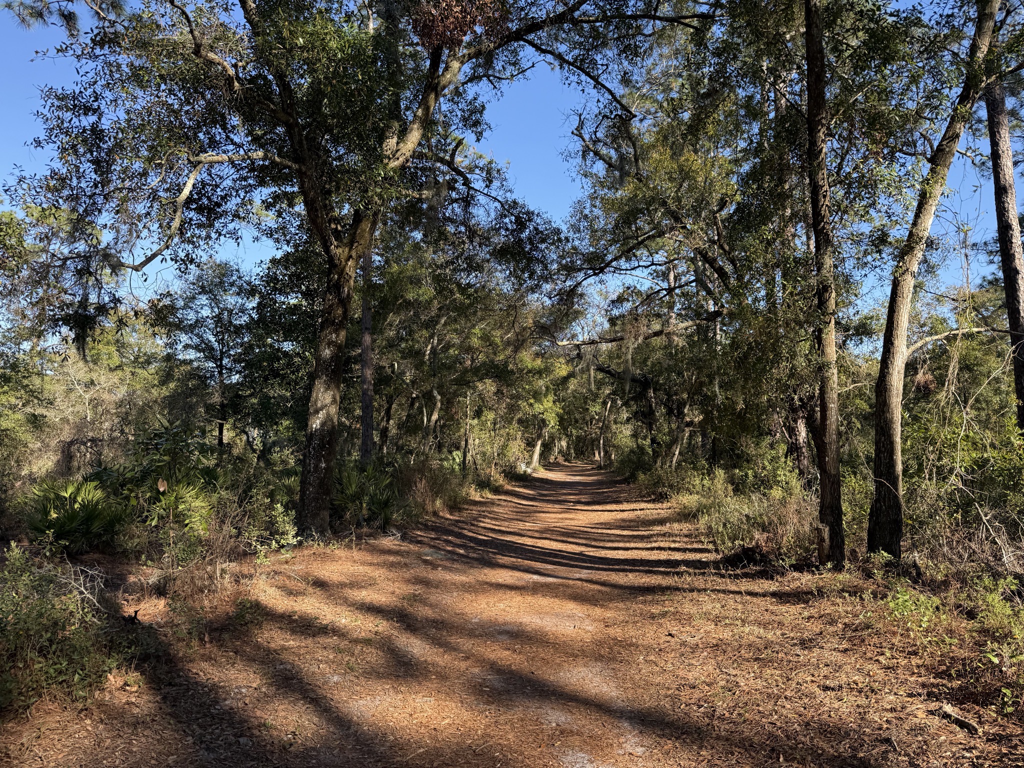 Trail