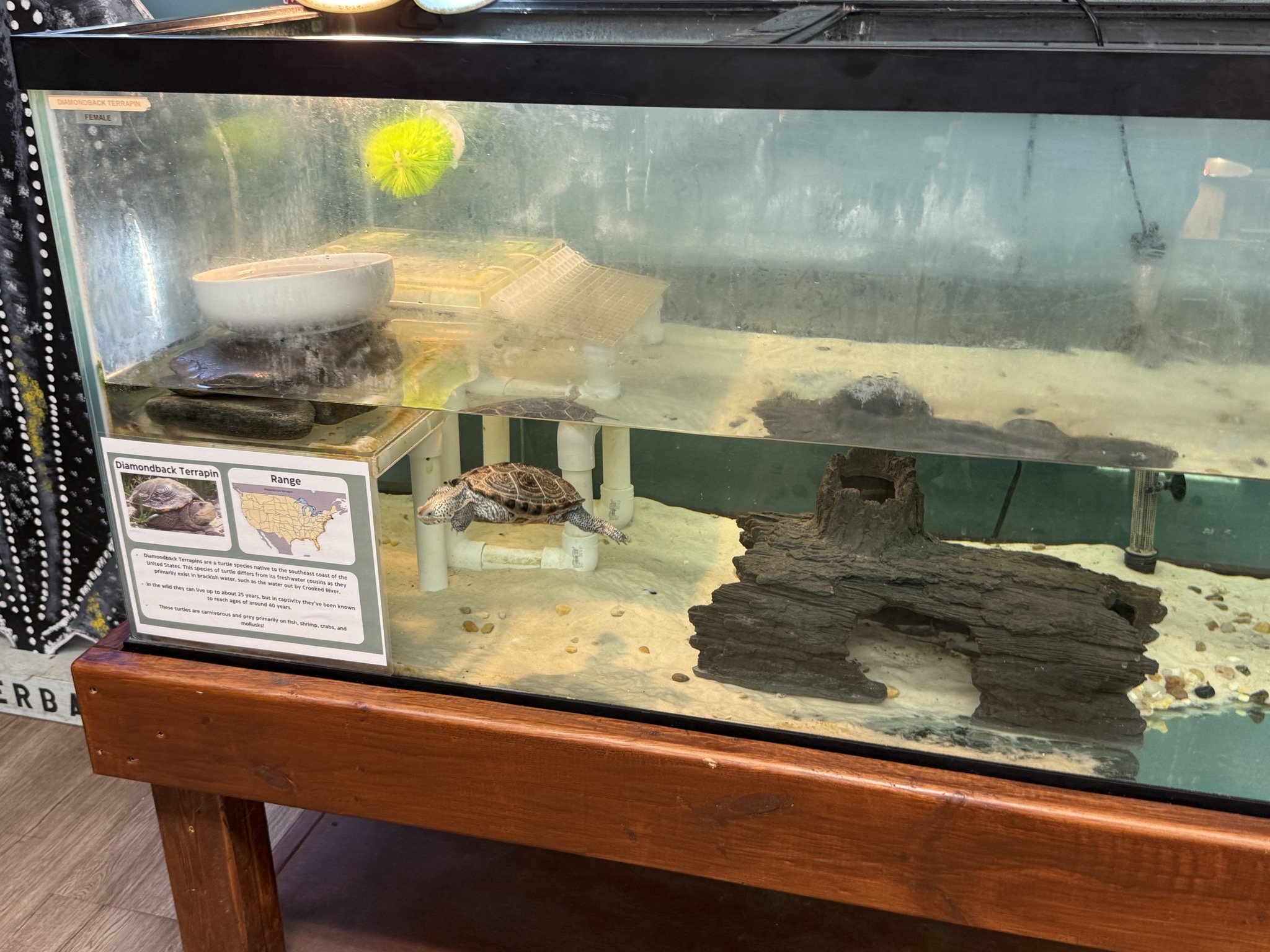 Nature center