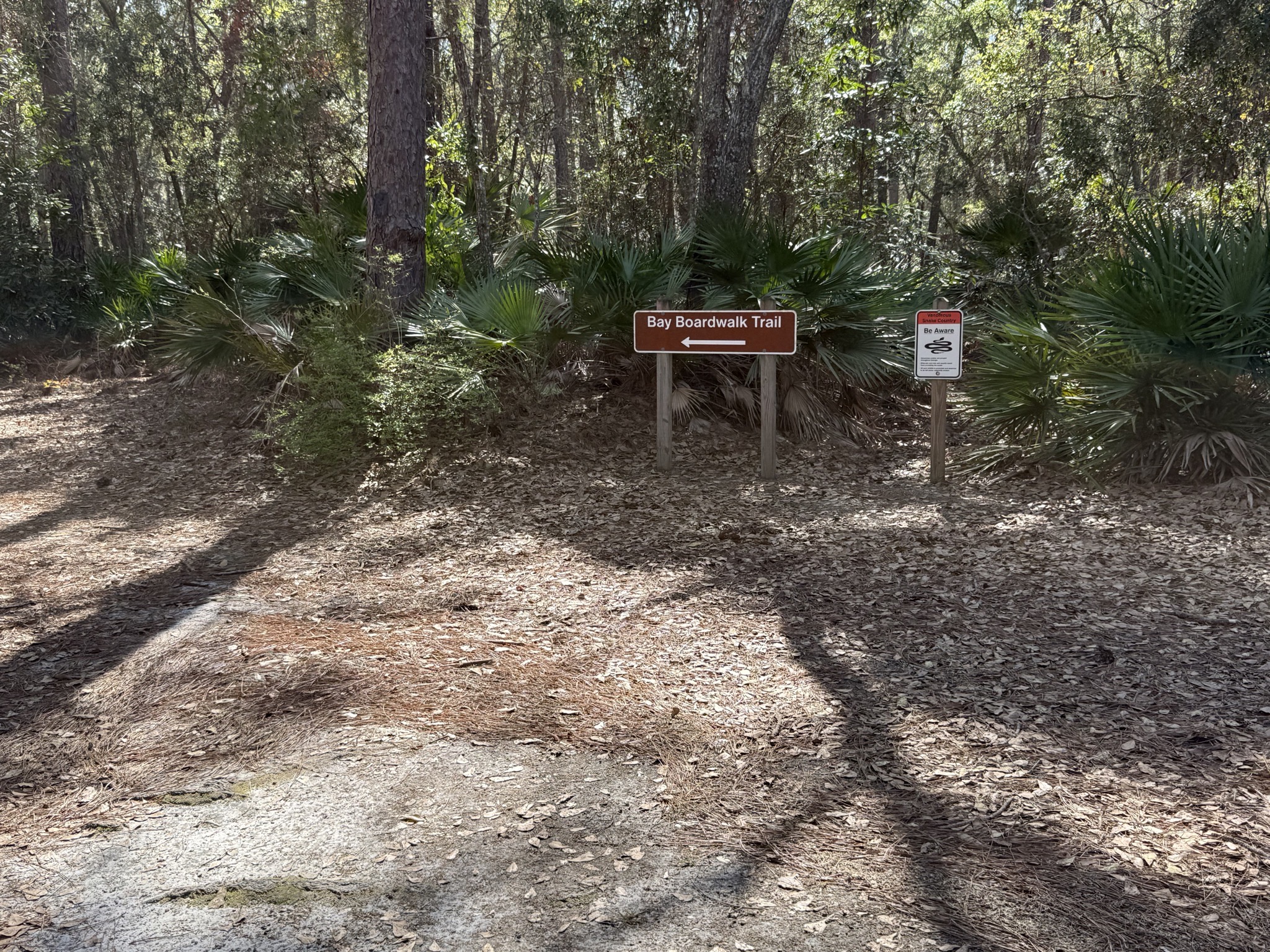 Trail