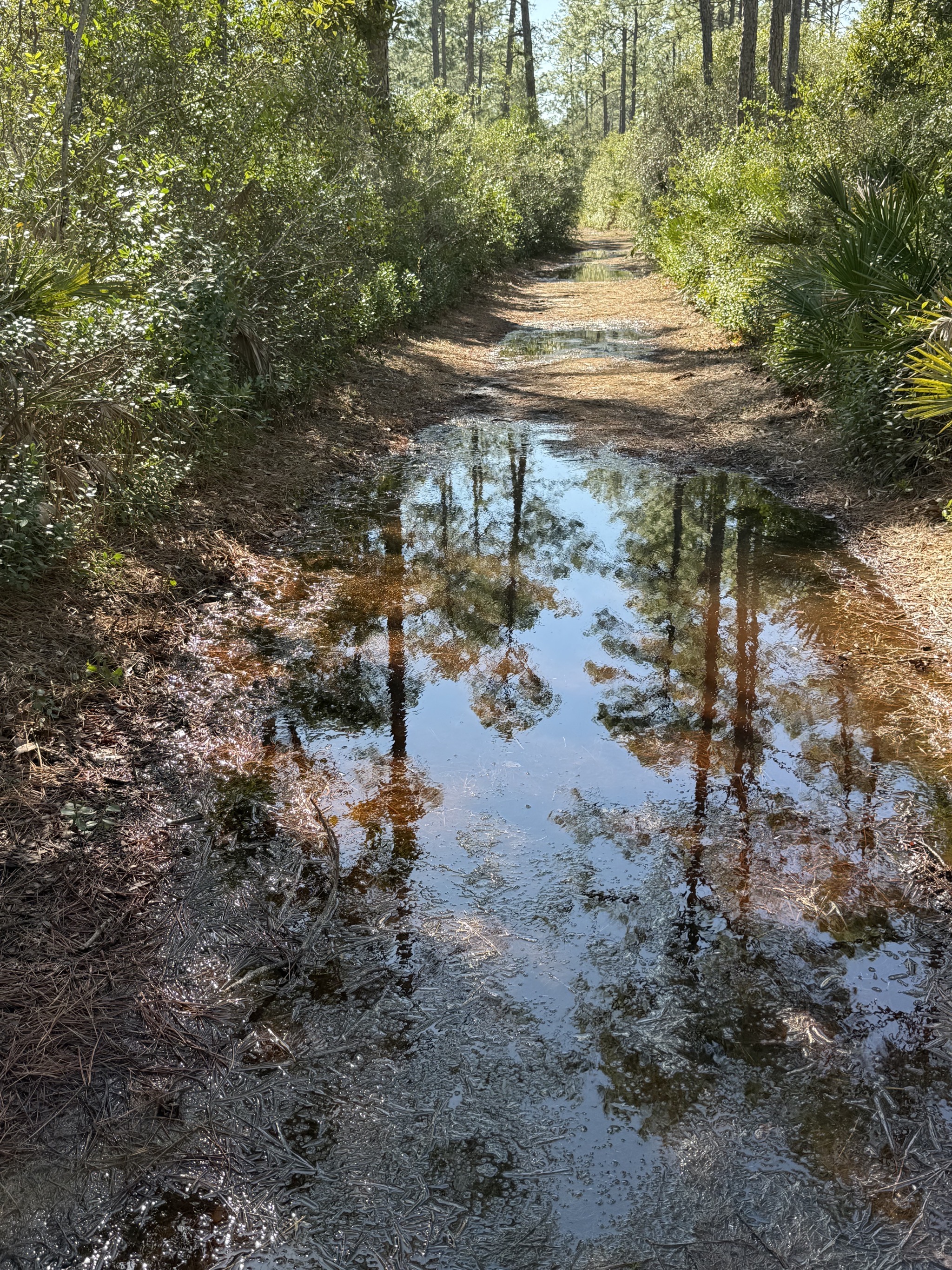 Flooded trail