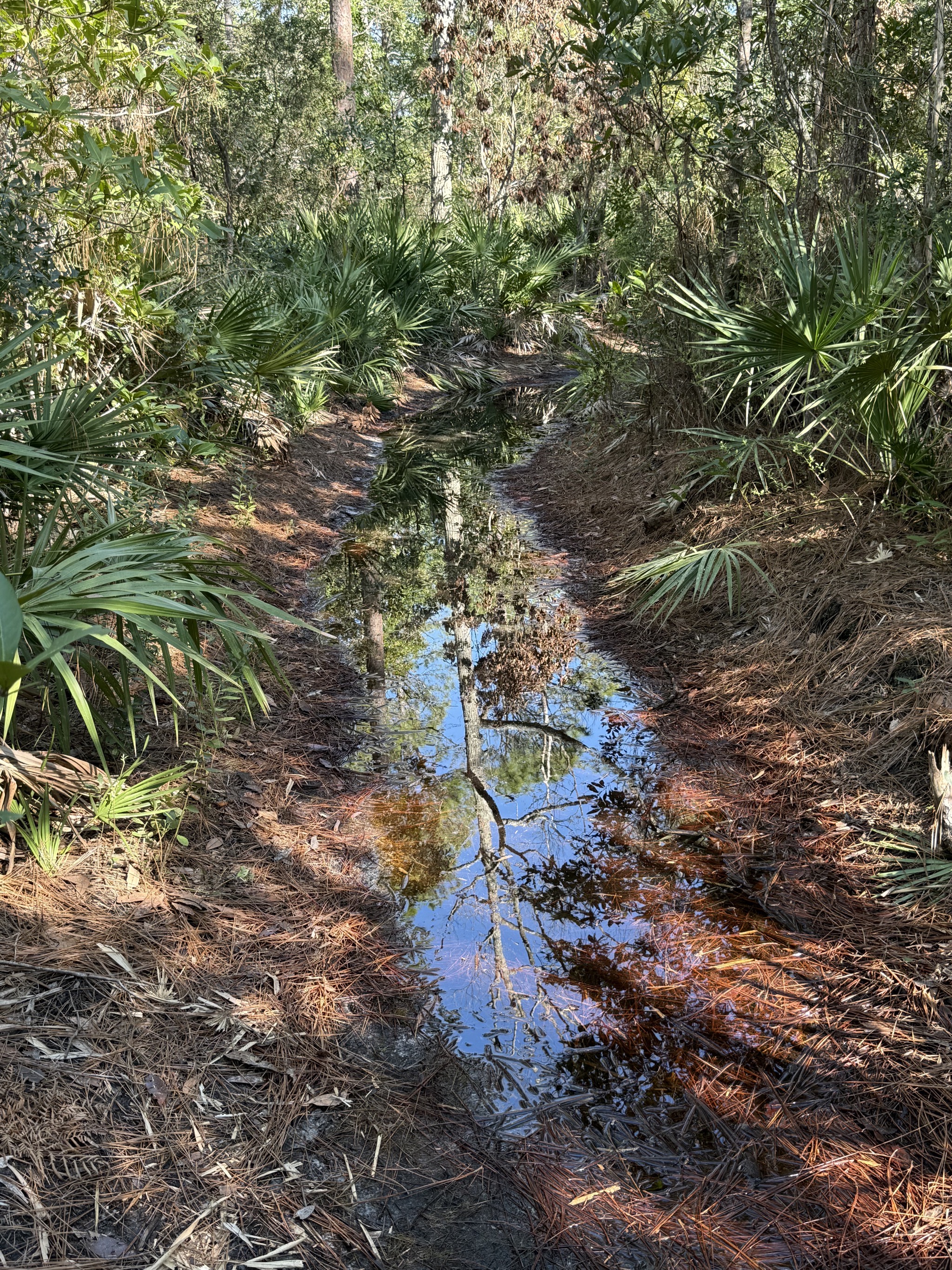 Flooded trail