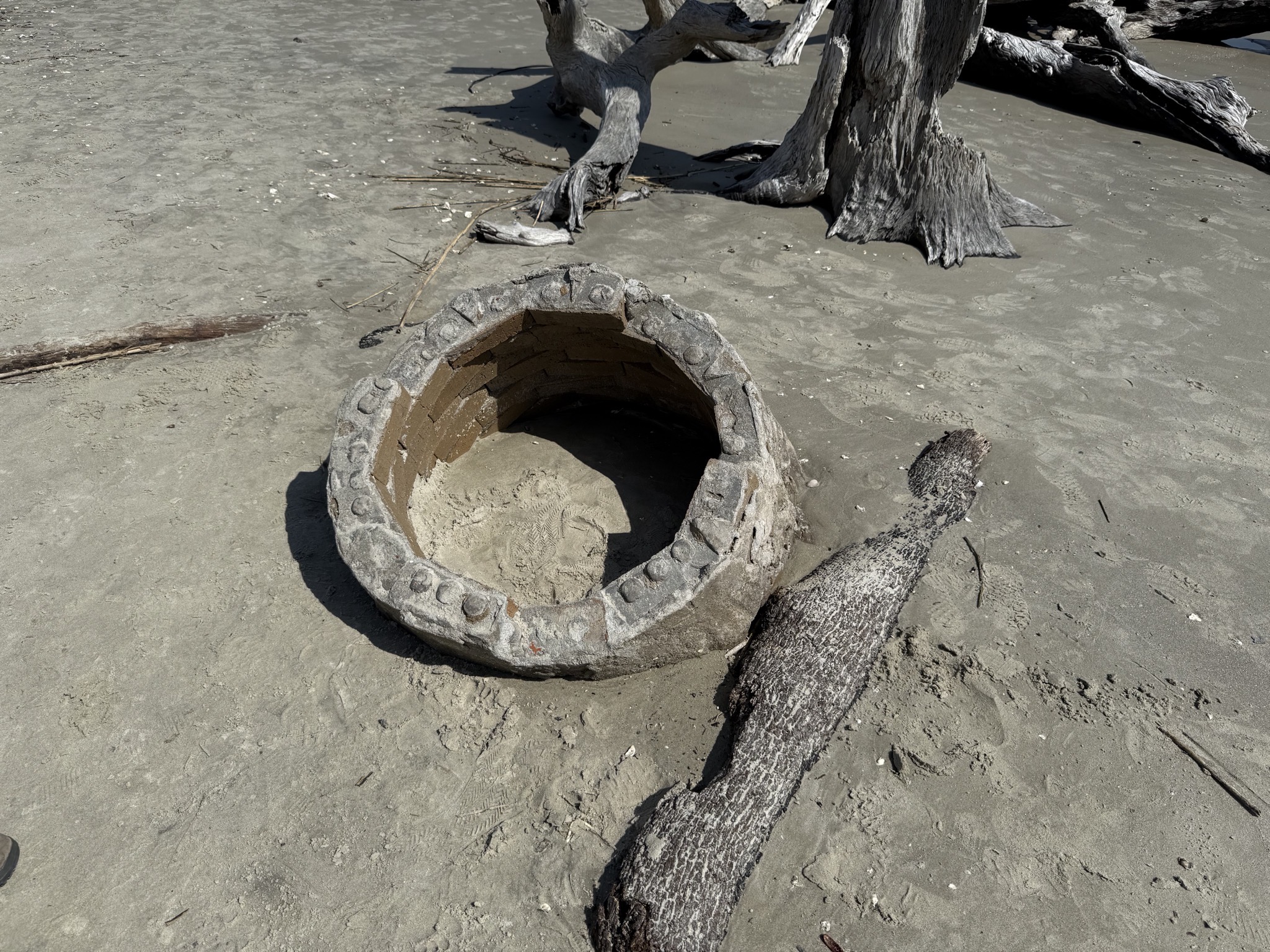 Driftwood Beach