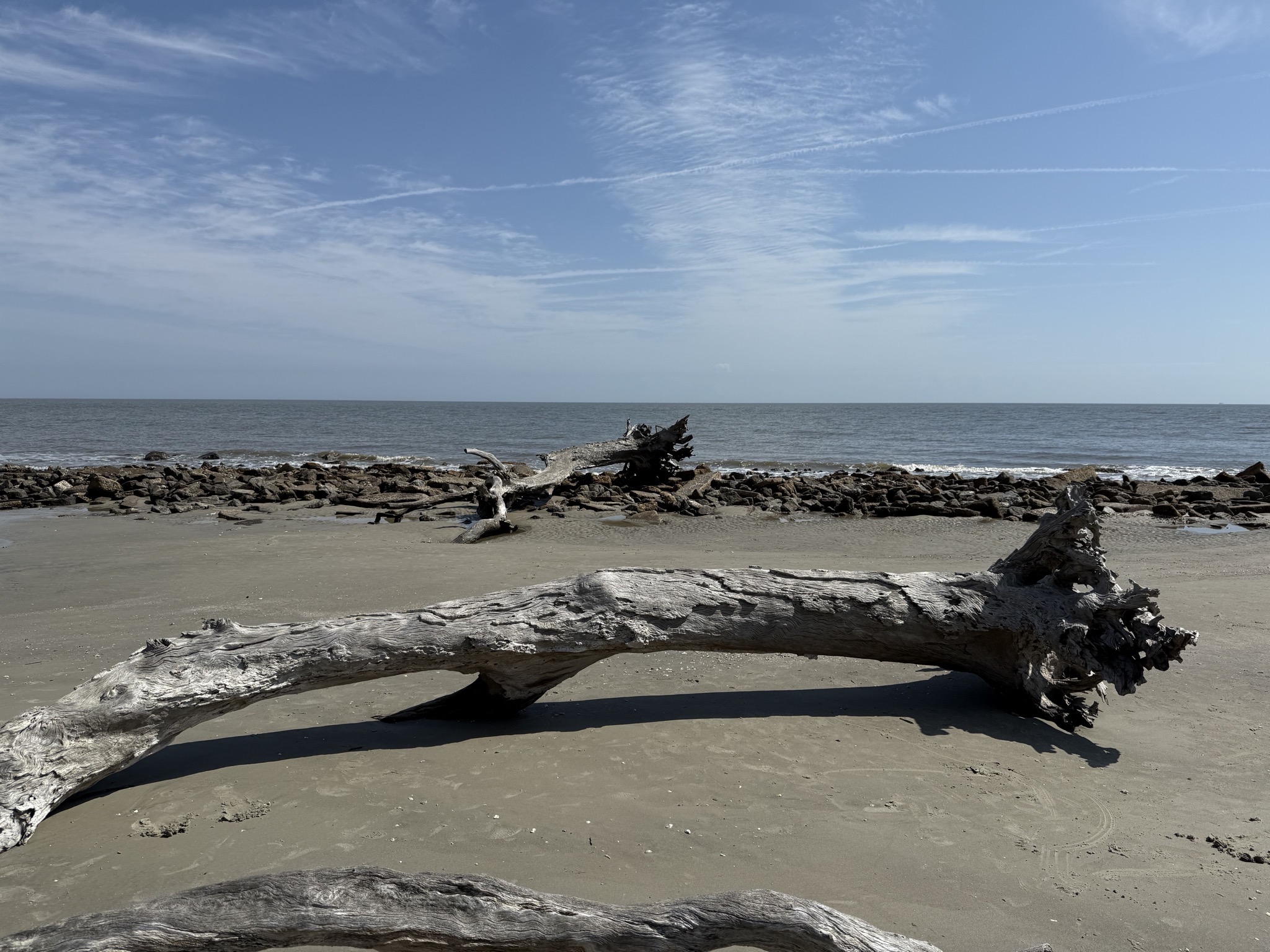Driftwood Beach