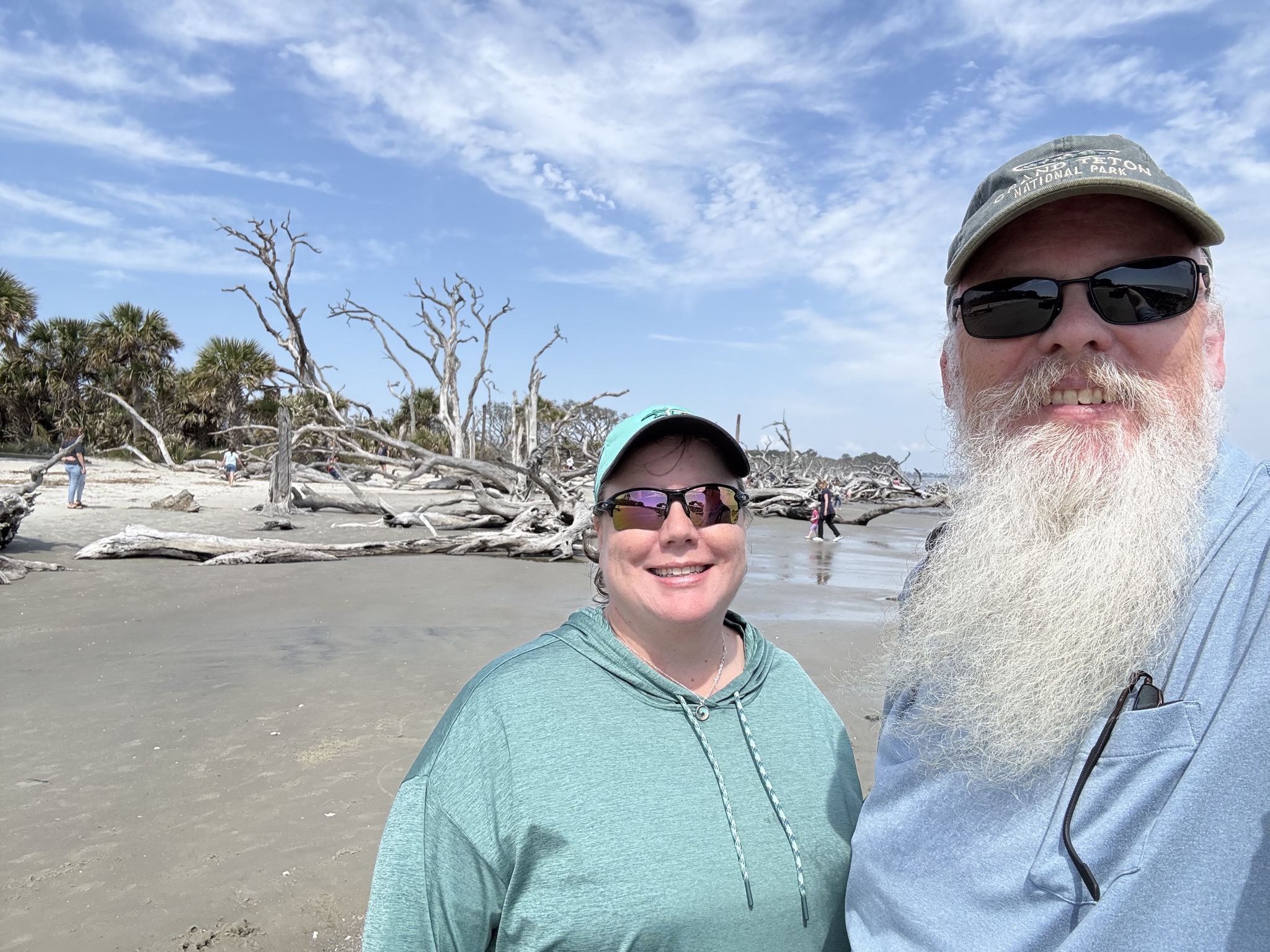Driftwood Beach