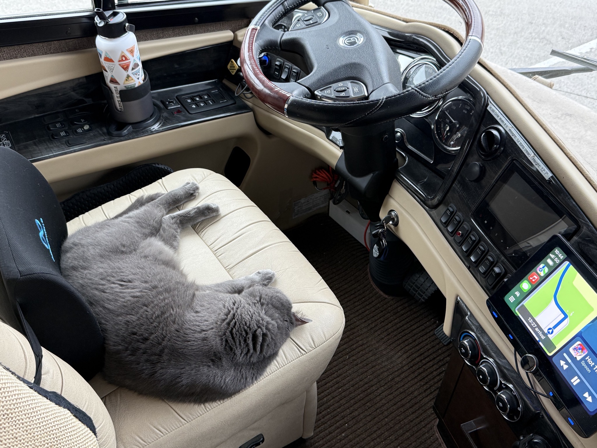 Paladin on the driver chair