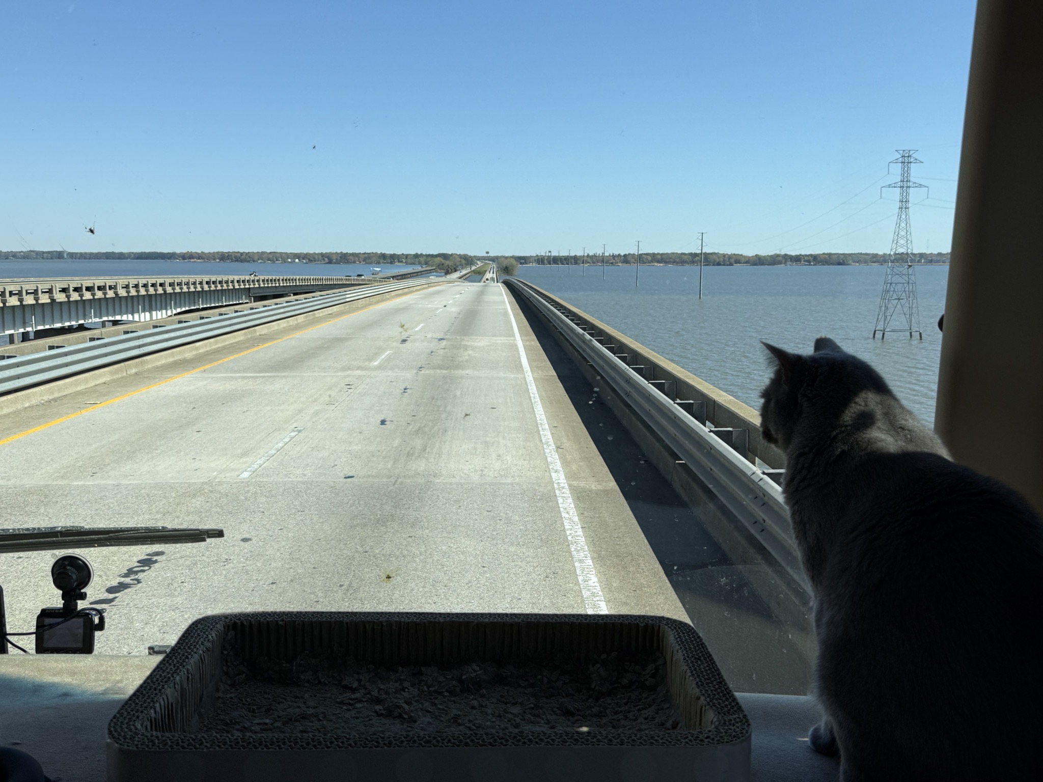 Paladin looking at Lake Marion bridge