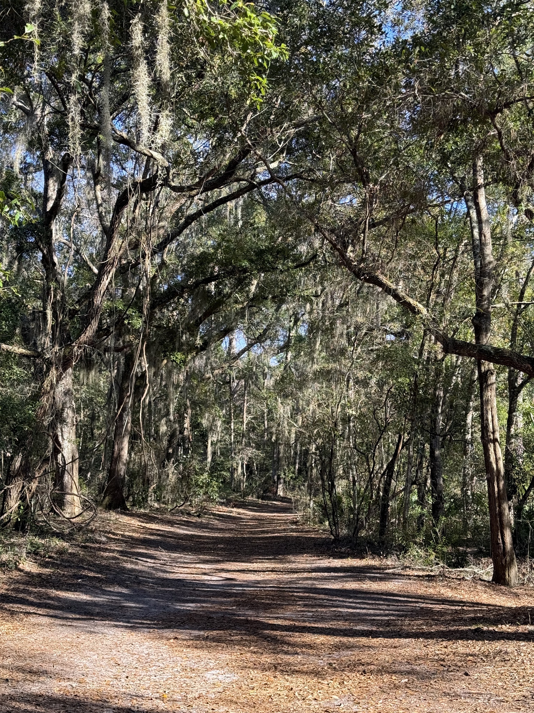 Trail
