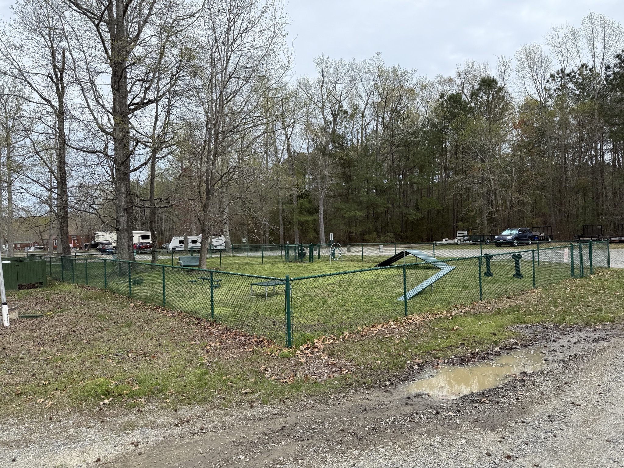 Dog park