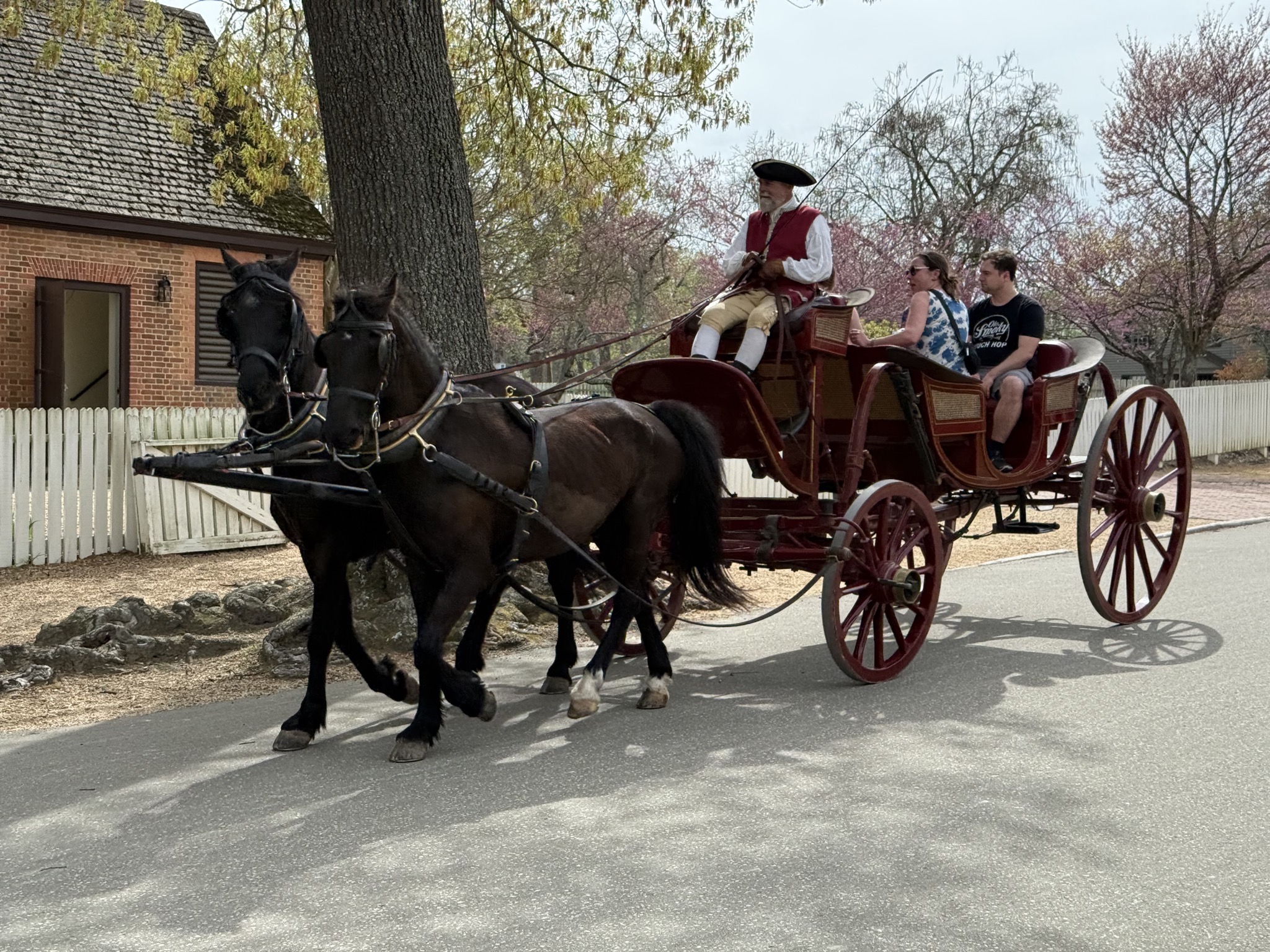 Horses and cart