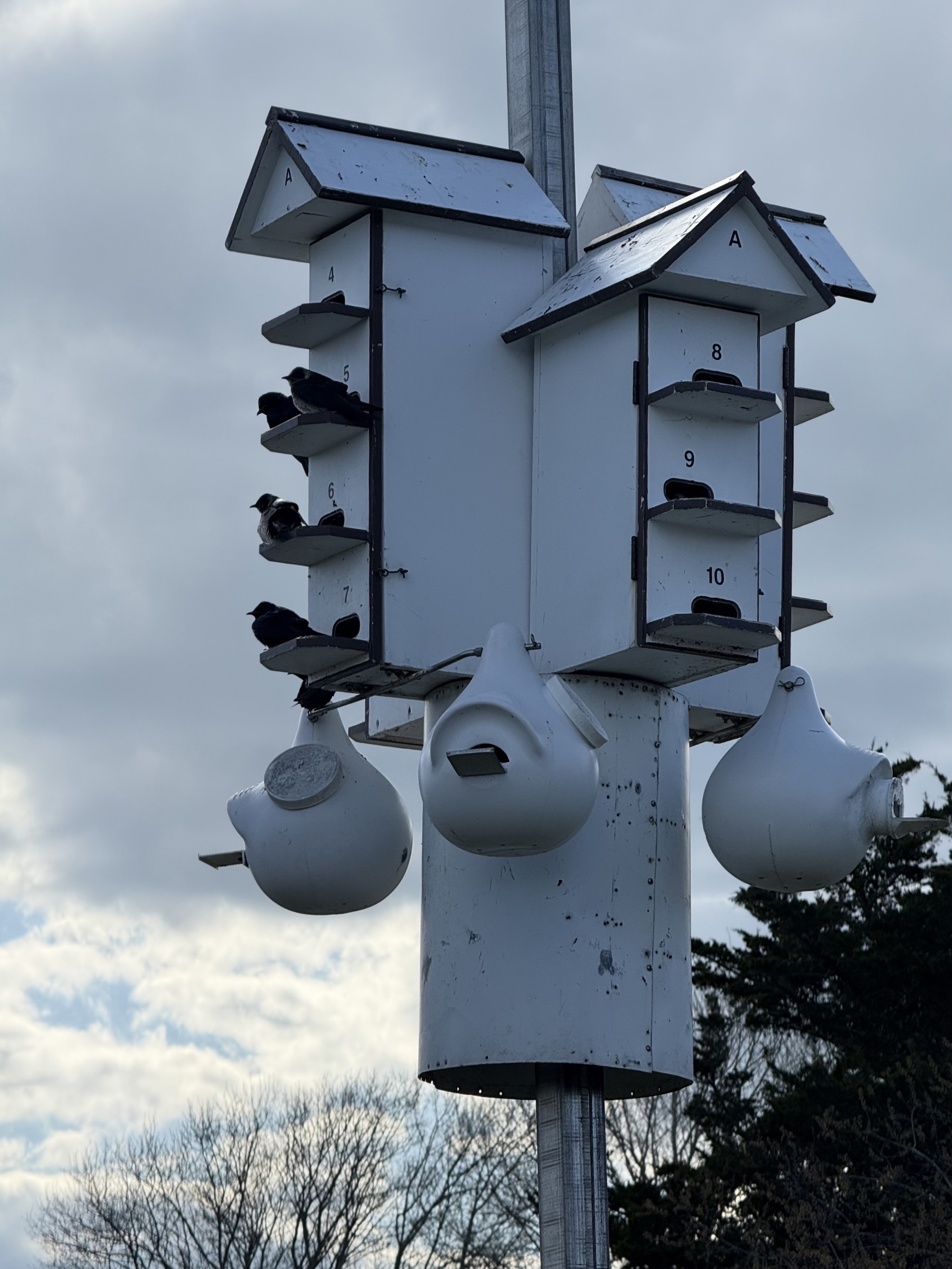Birdhouses