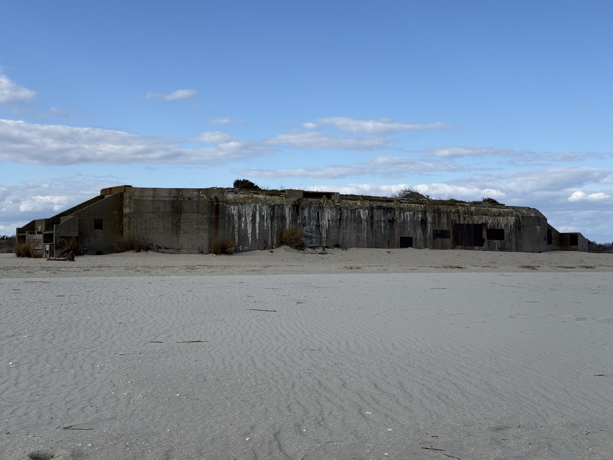Battery 223